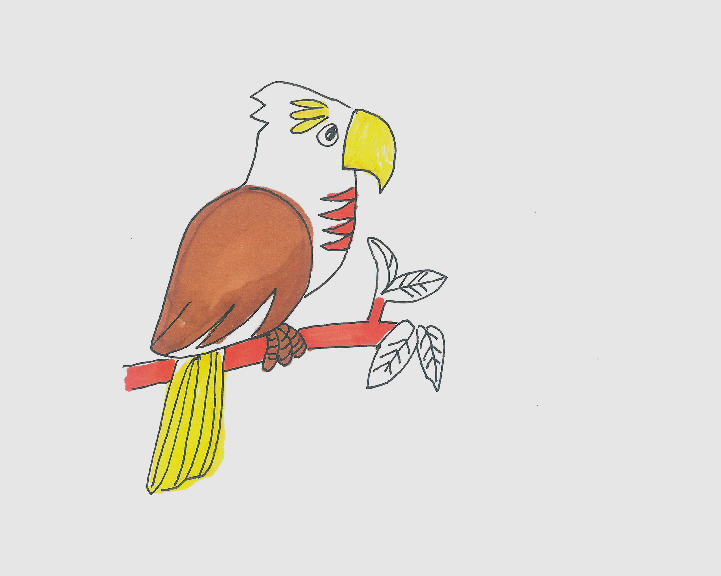 彩铅鹦鹉|纯艺术|绘画|妈妈拉美术学院 - 原创作品 - 站酷 (ZCOOL)