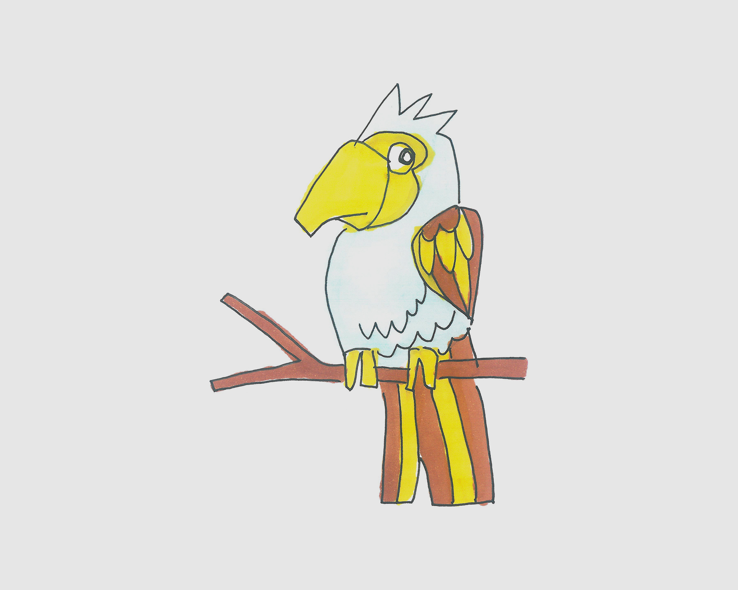 怎么画小鸟的画法 简笔画图 - 有点网 - 好手艺