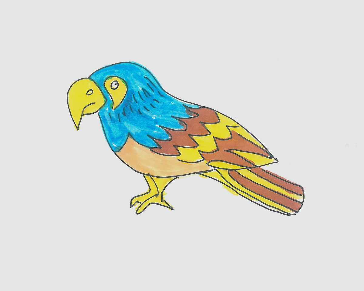 鹦鹉的简笔画图片大全(12),简笔画鹦鹉,动物简笔画_小鸭子儿童乐园