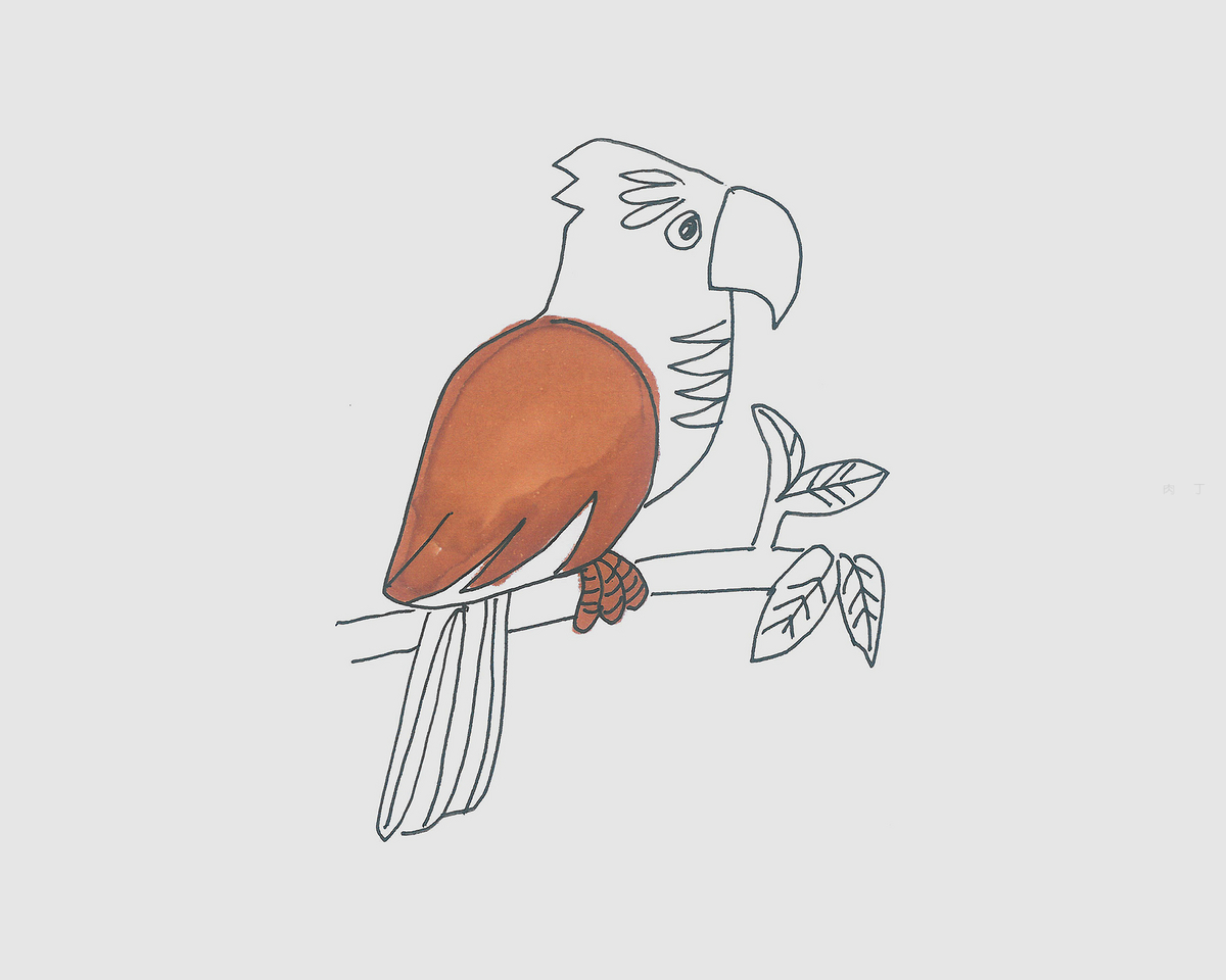 鹦鹉|插画|其他插画|PICAST图卡司插画 - 原创作品 - 站酷 (ZCOOL)
