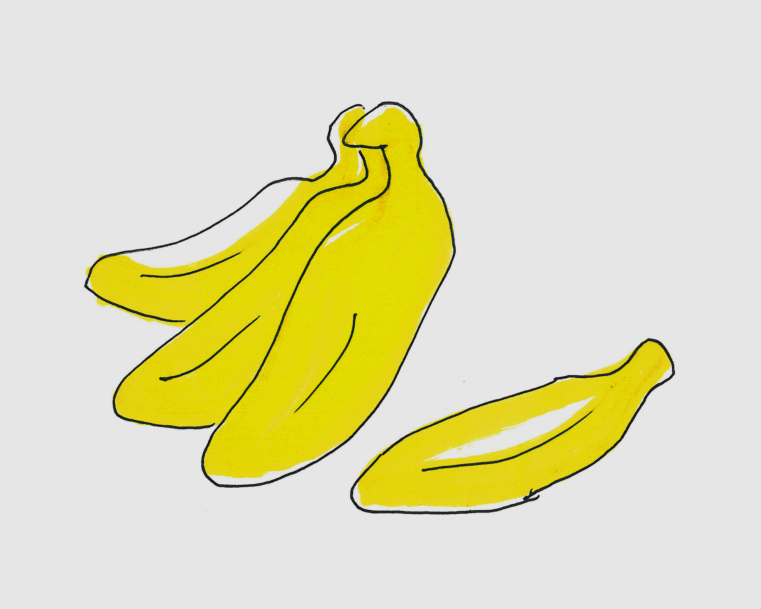 香蕉树插画(香蕉树、香蕉、水果、树木、叶子、枝干、插画)手绘插图_北极熊素材库