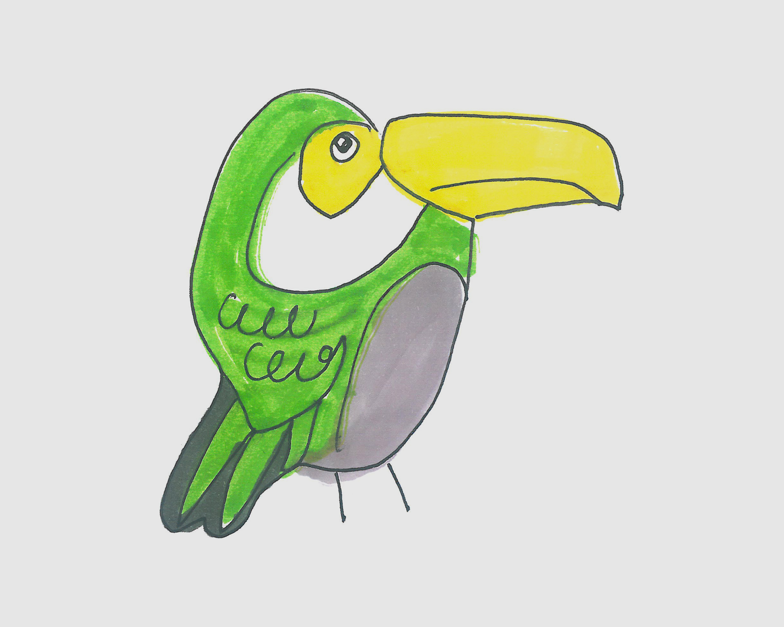 彩色巨嘴鸟简笔画画法