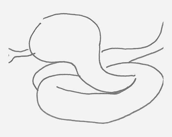 做鬼脸的大蛇简笔画画法图片步骤