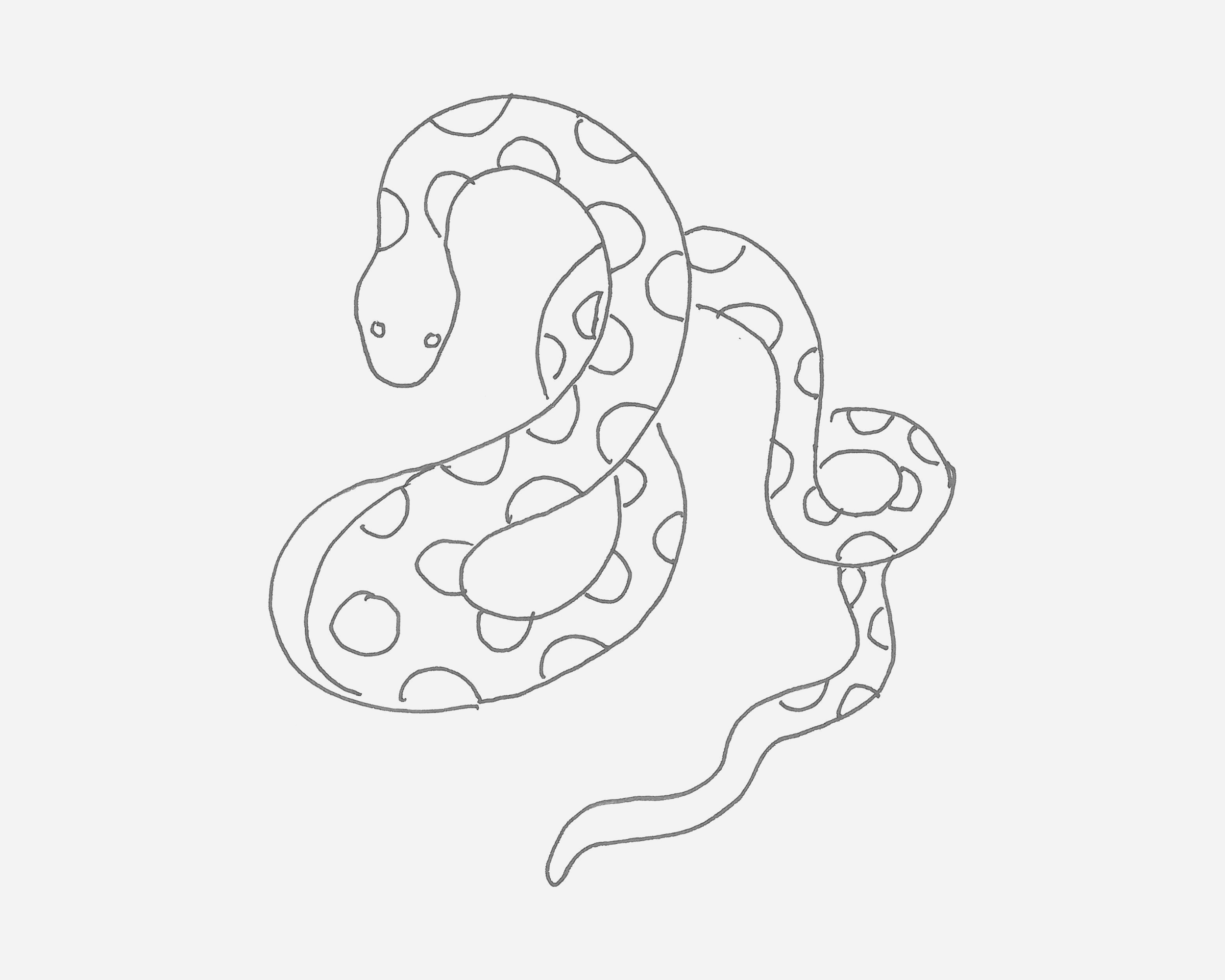 盘起的蛇简笔画画法图片步骤（学设计一定要会画画吗） - 有点网 - 好手艺