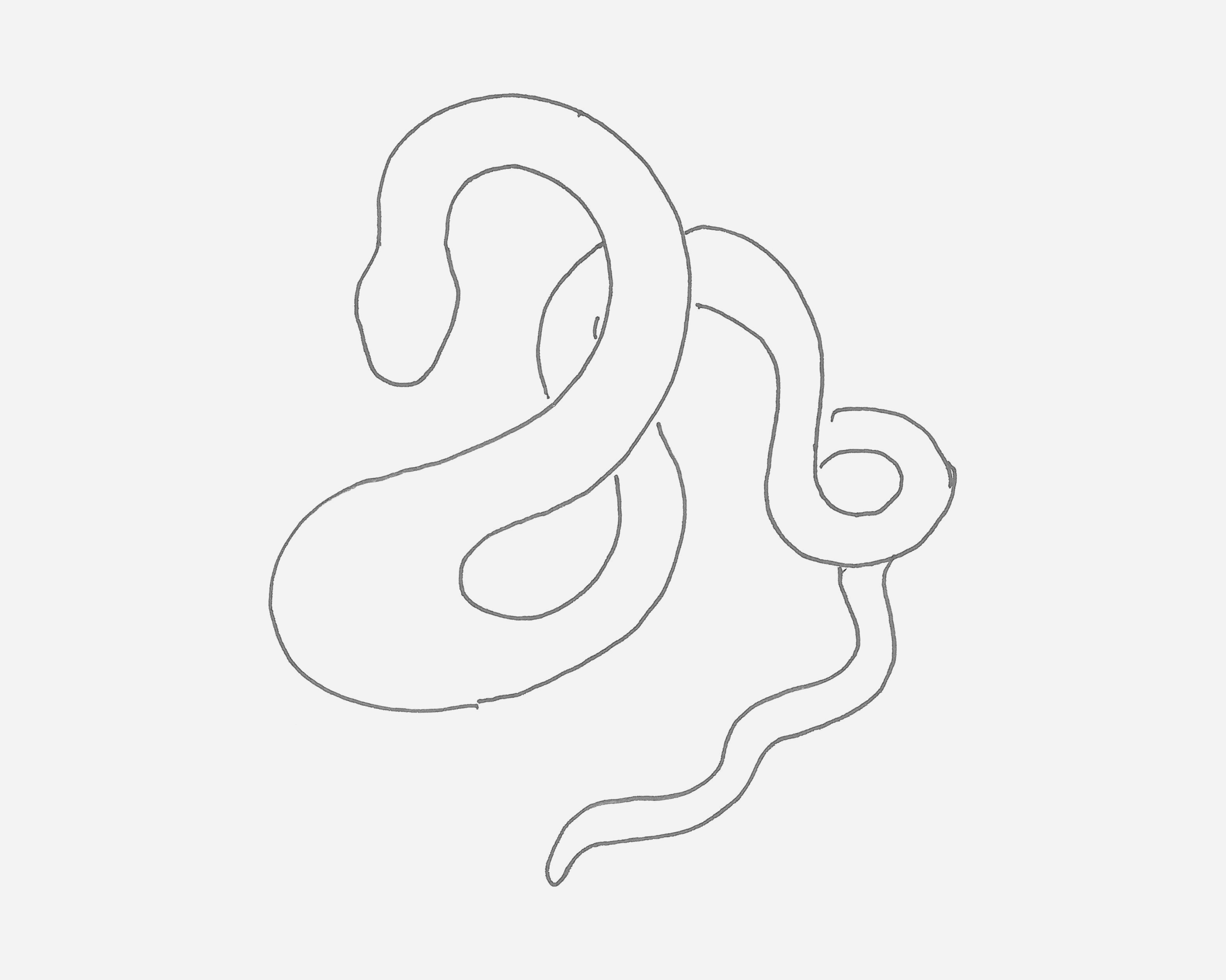 爬行的蛇简笔画画法图片步骤💛巧艺网