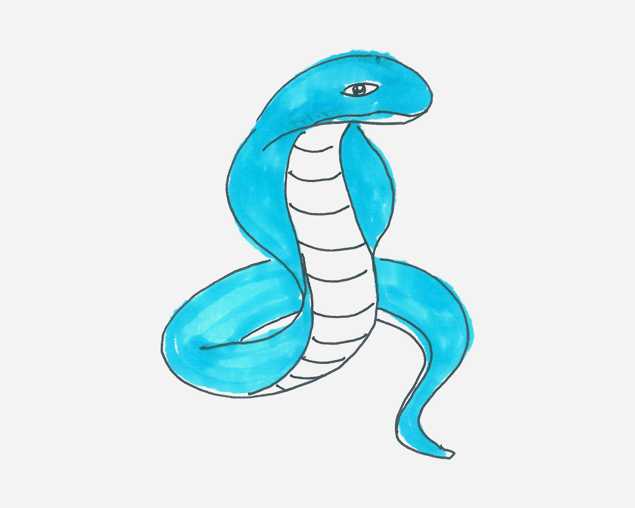 原创简单的DIY小动物简笔画 眼镜蛇的绘画步骤 肉丁儿童网