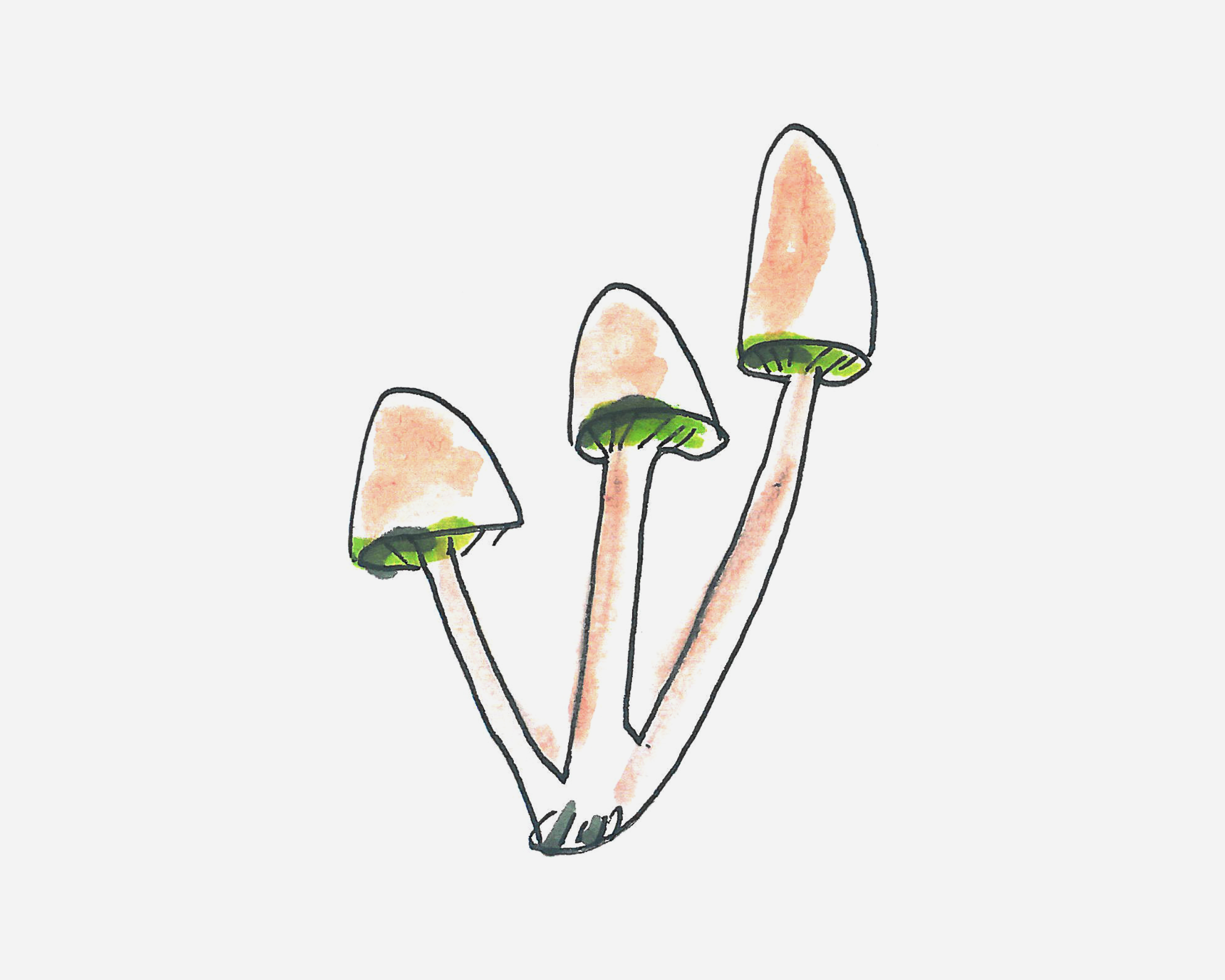 6-7岁简笔画大全 带颜色蘑菇的画法图解