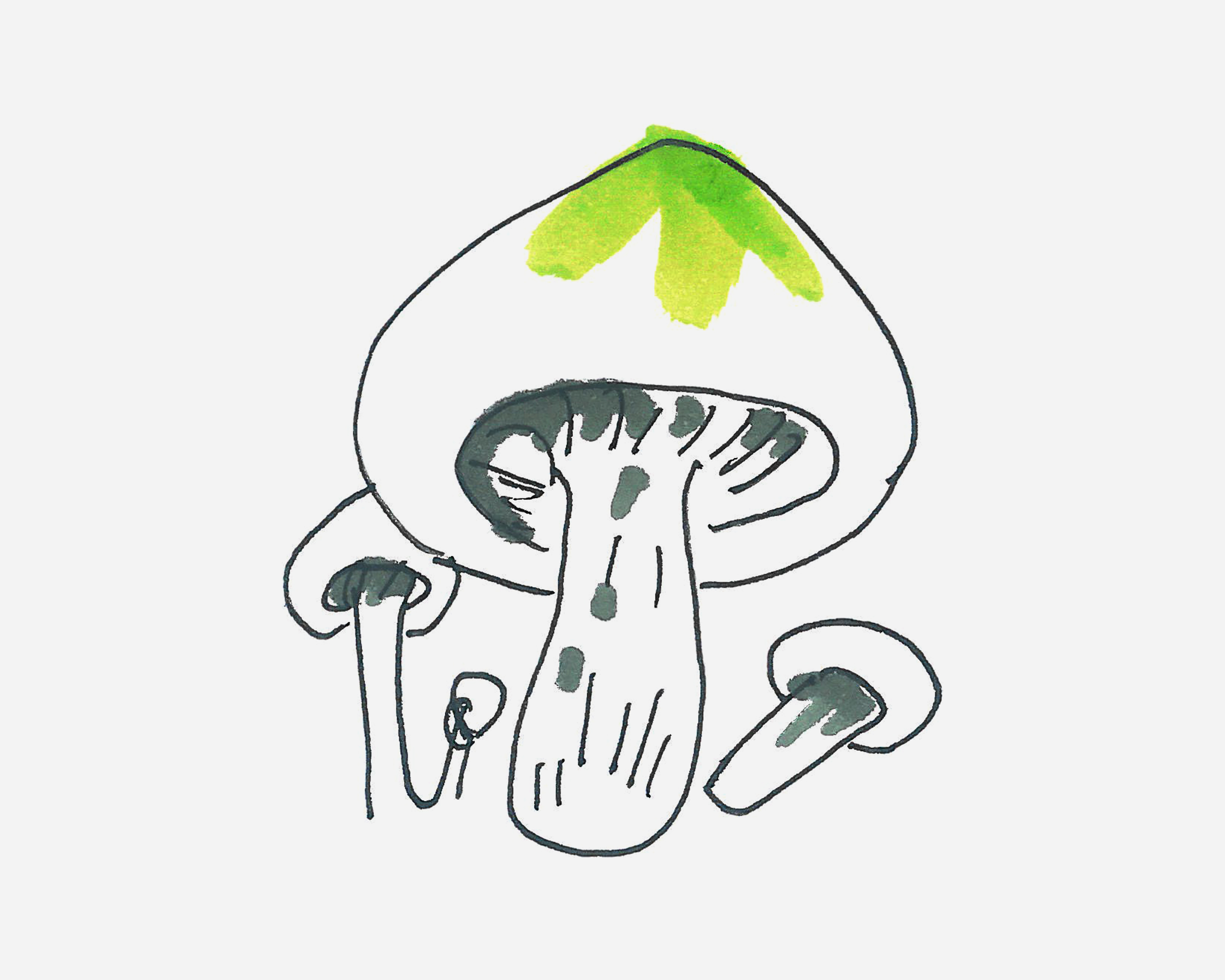 4-6岁儿童简笔画启蒙教程 可爱蘑菇怎么画好看