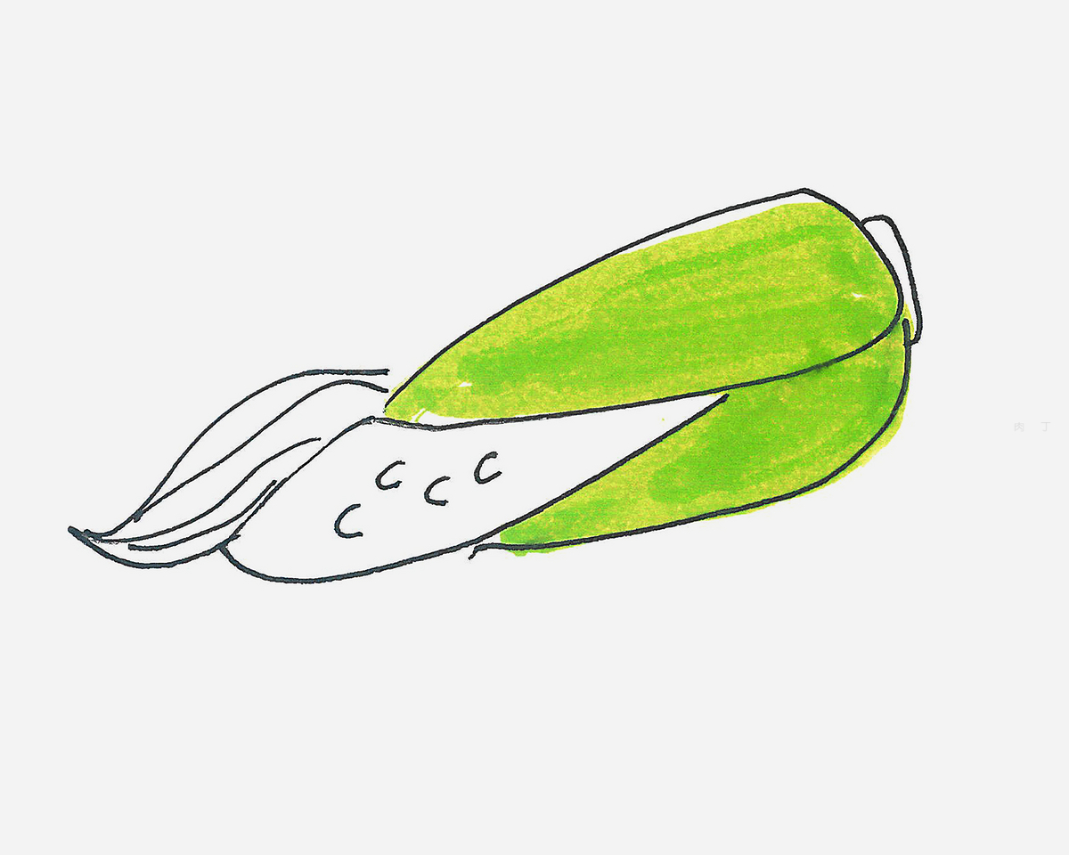 玉米|插画|插画习作|深海珍珠 - 原创作品 - 站酷 (ZCOOL)
