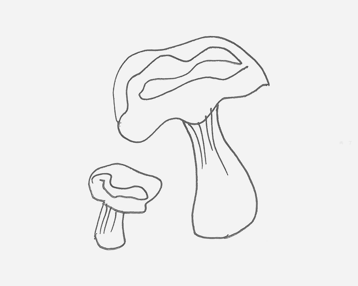 长在森林里的蘑菇简笔画画法图片步骤（和平鸽的简笔画） - 有点网 - 好手艺