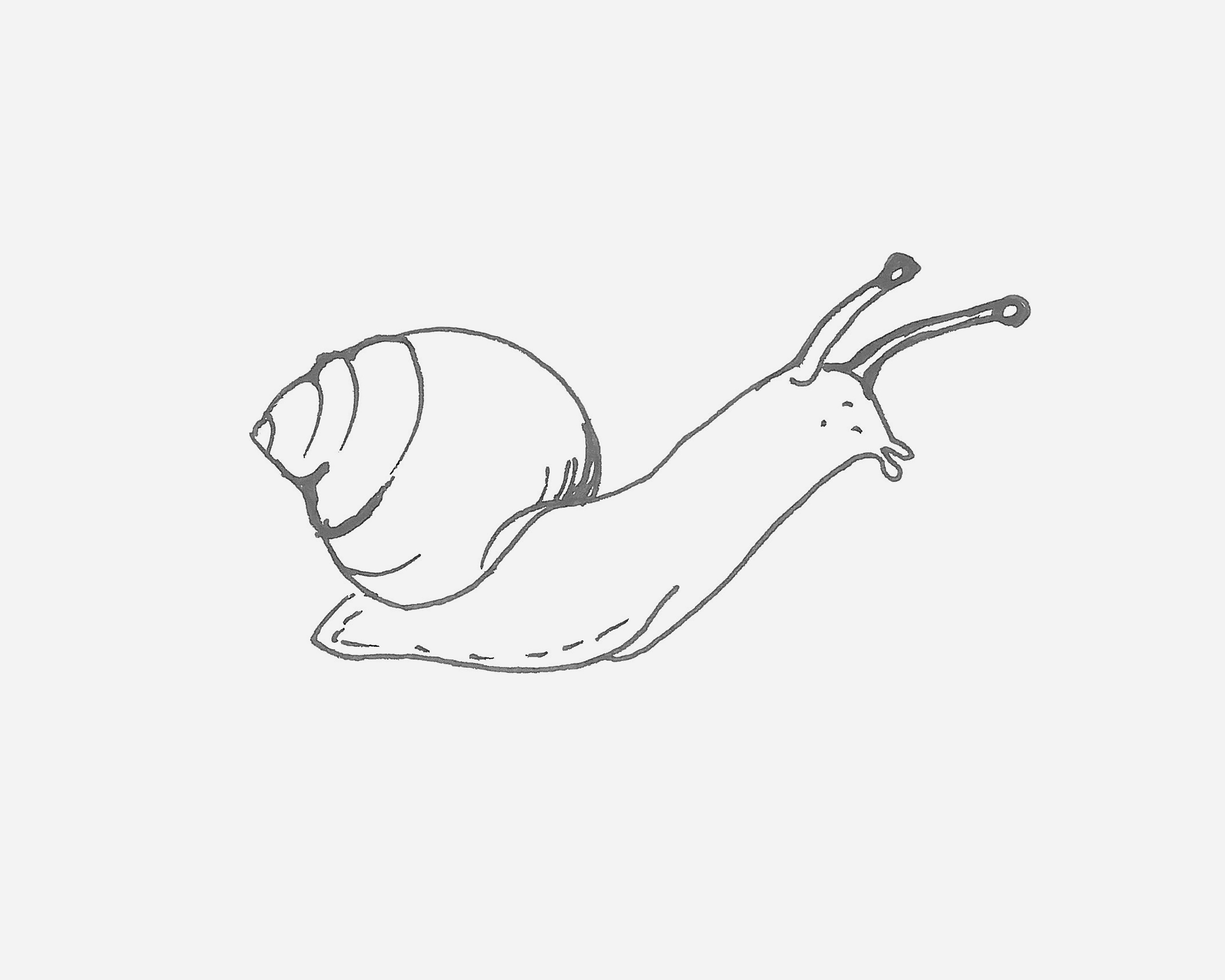 卡通蜗牛简笔画画法图片步骤（运动简笔画） - 有点网 - 好手艺