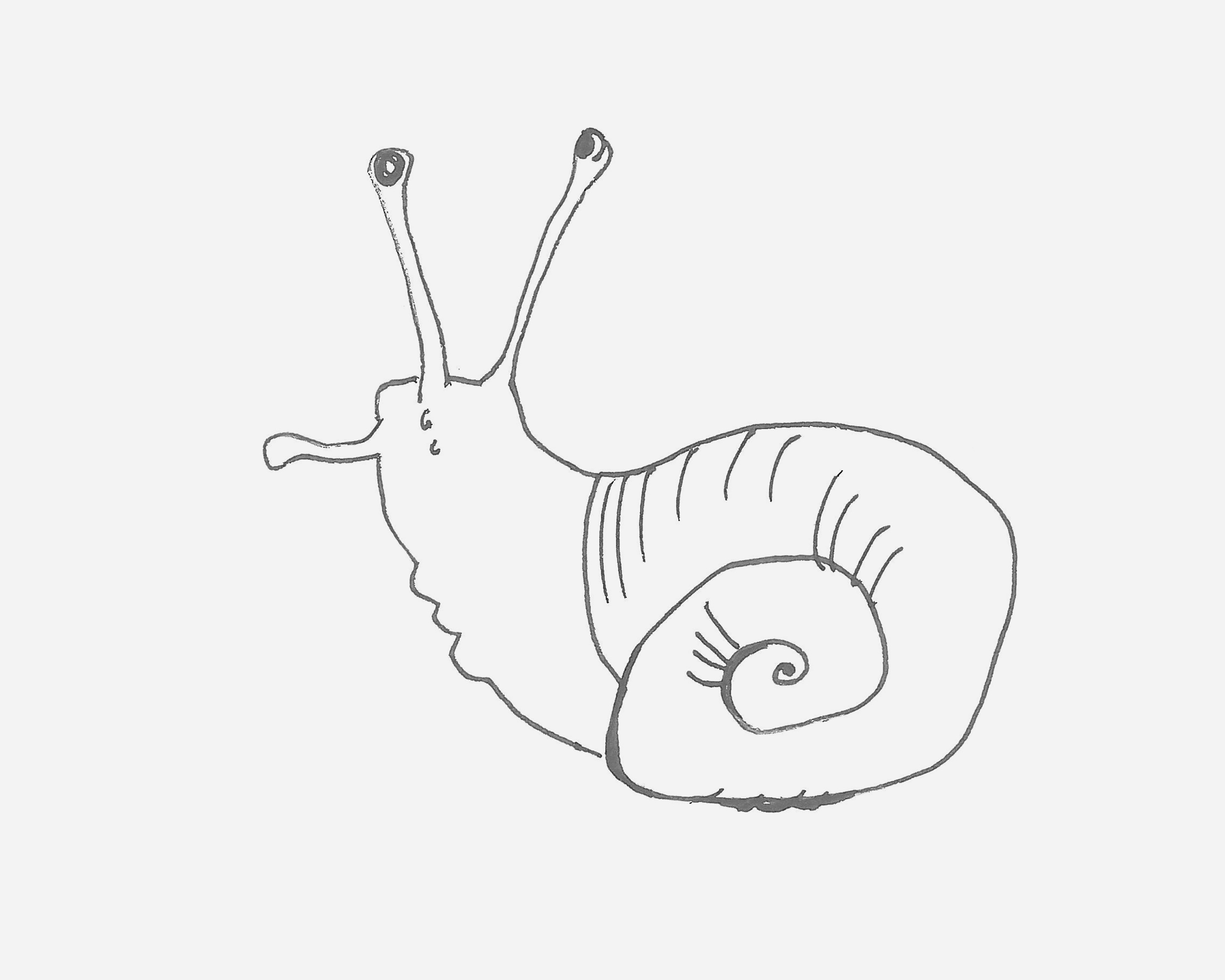 彩色蜗牛简笔画画法图片步骤