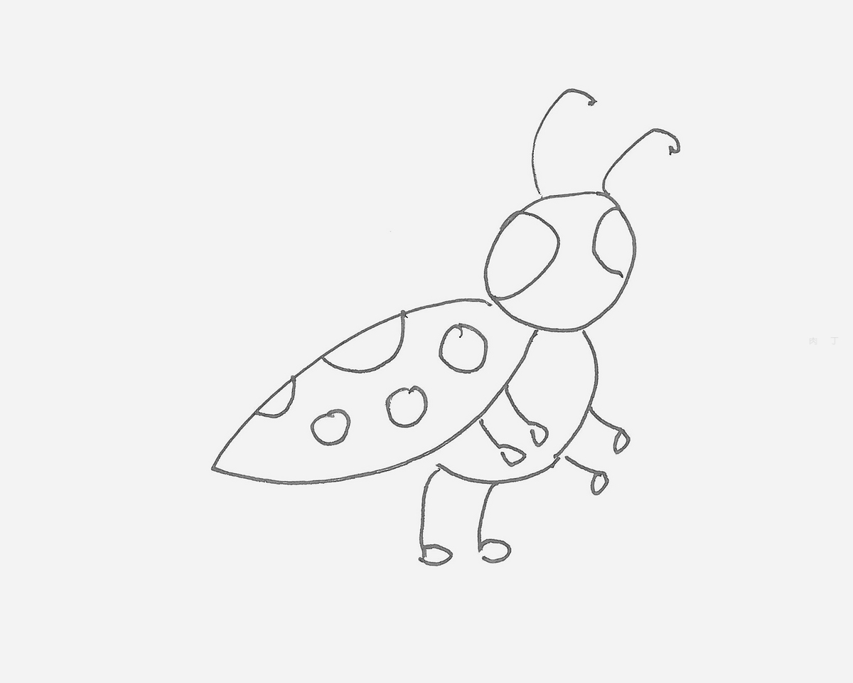 六七岁儿童画大全 小七星瓢虫怎么画简单又好看💛巧艺网