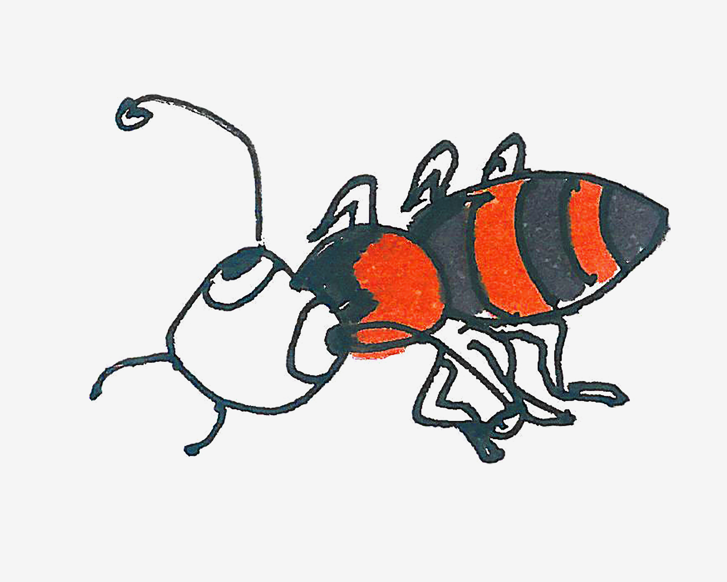 4-6岁简笔画优秀作品 带颜色小蚂蚁怎么画好看
