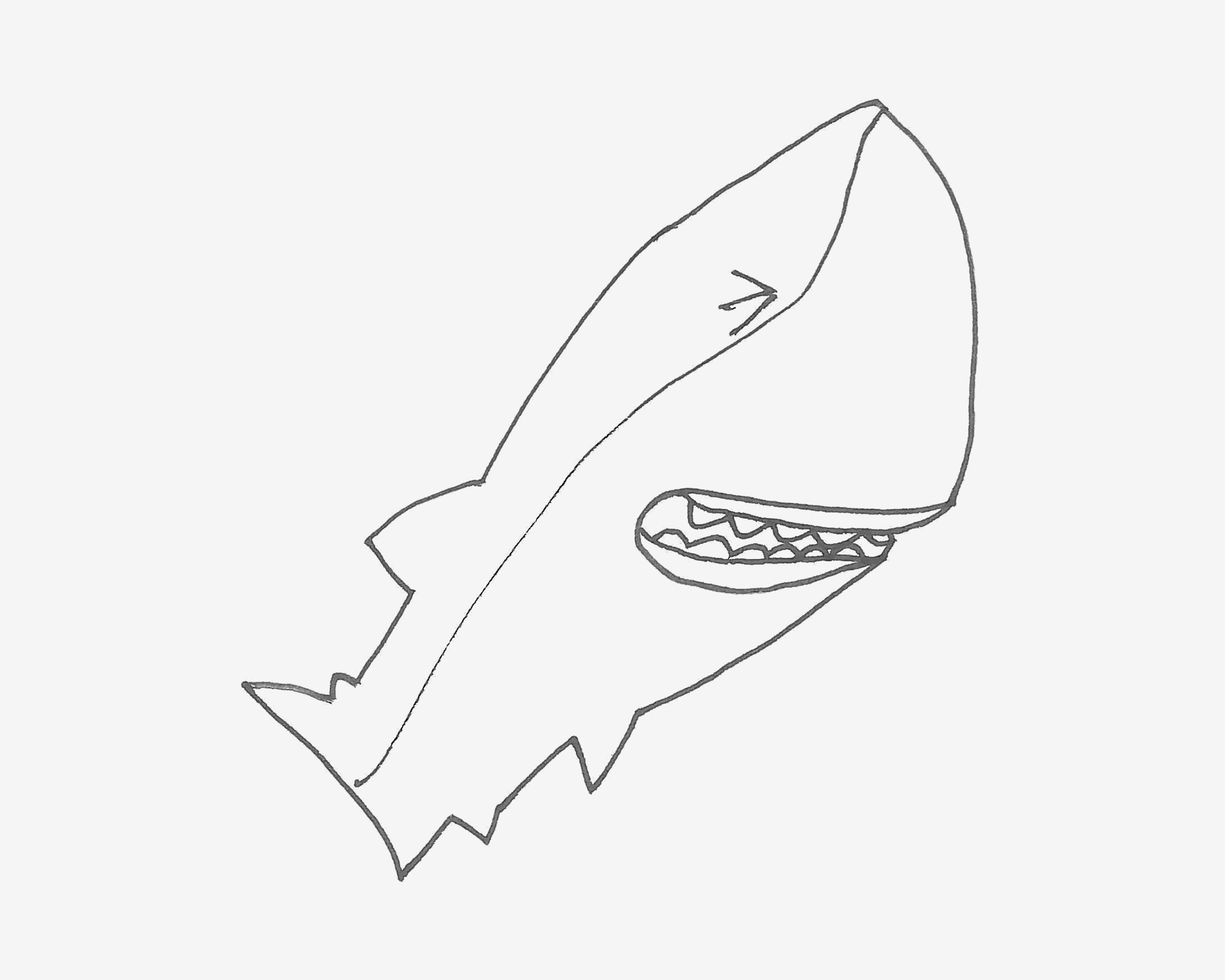 5-8岁儿童简笔画优秀作品 色彩鲨鱼怎么画好看
