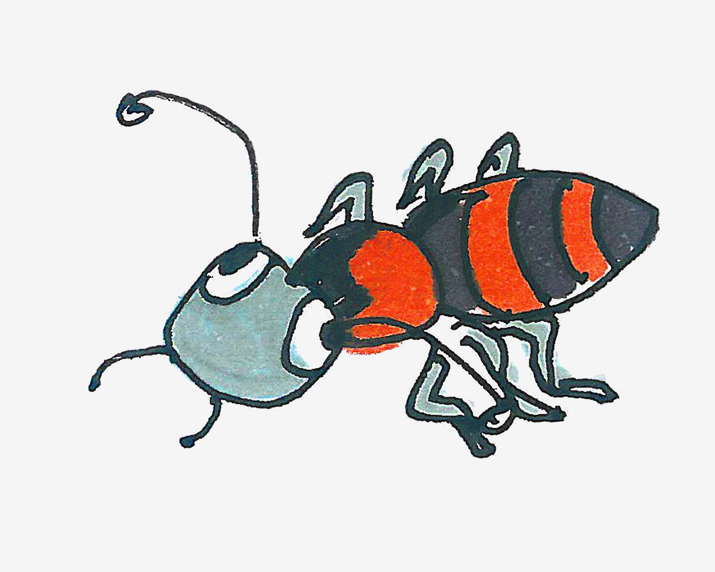 4-6岁简笔画优秀作品 带颜色小蚂蚁怎么画好看
