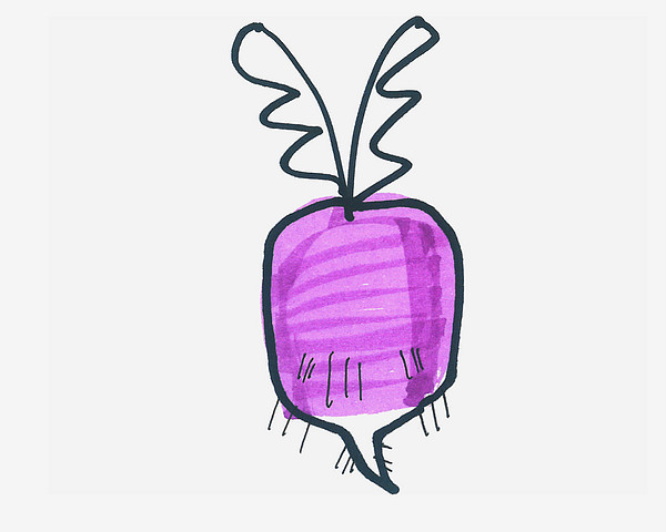紫色萝卜的简笔画图片怎么画