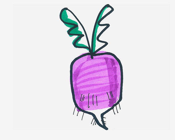 紫色萝卜的简笔画图片怎么画