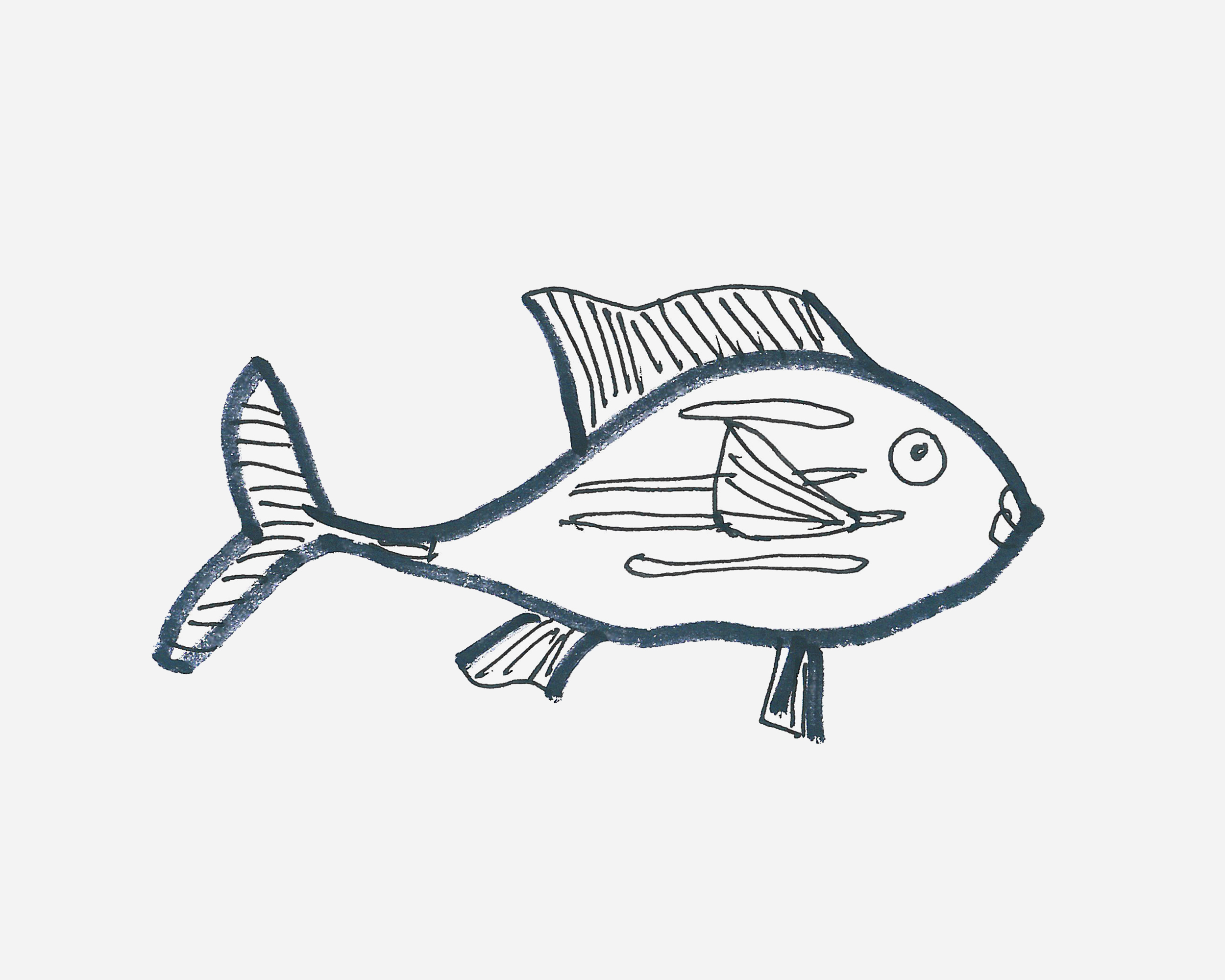 8岁简笔画教程 热带鱼的画法图解