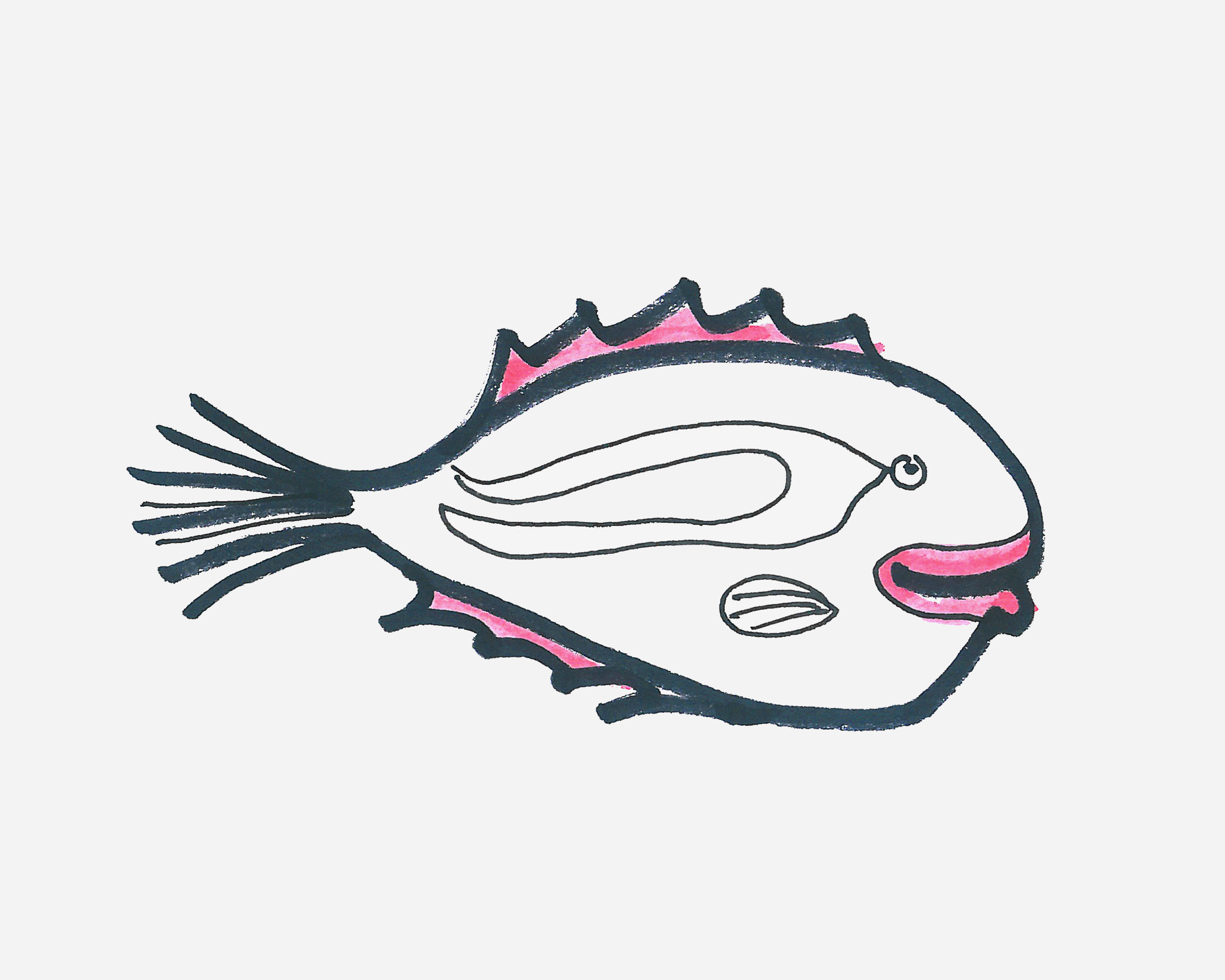 一条大鱼简笔画画法图片步骤