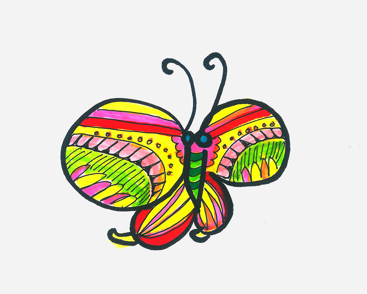 彩色的卡通蝴蝶简笔画画法图片步骤💛巧艺网