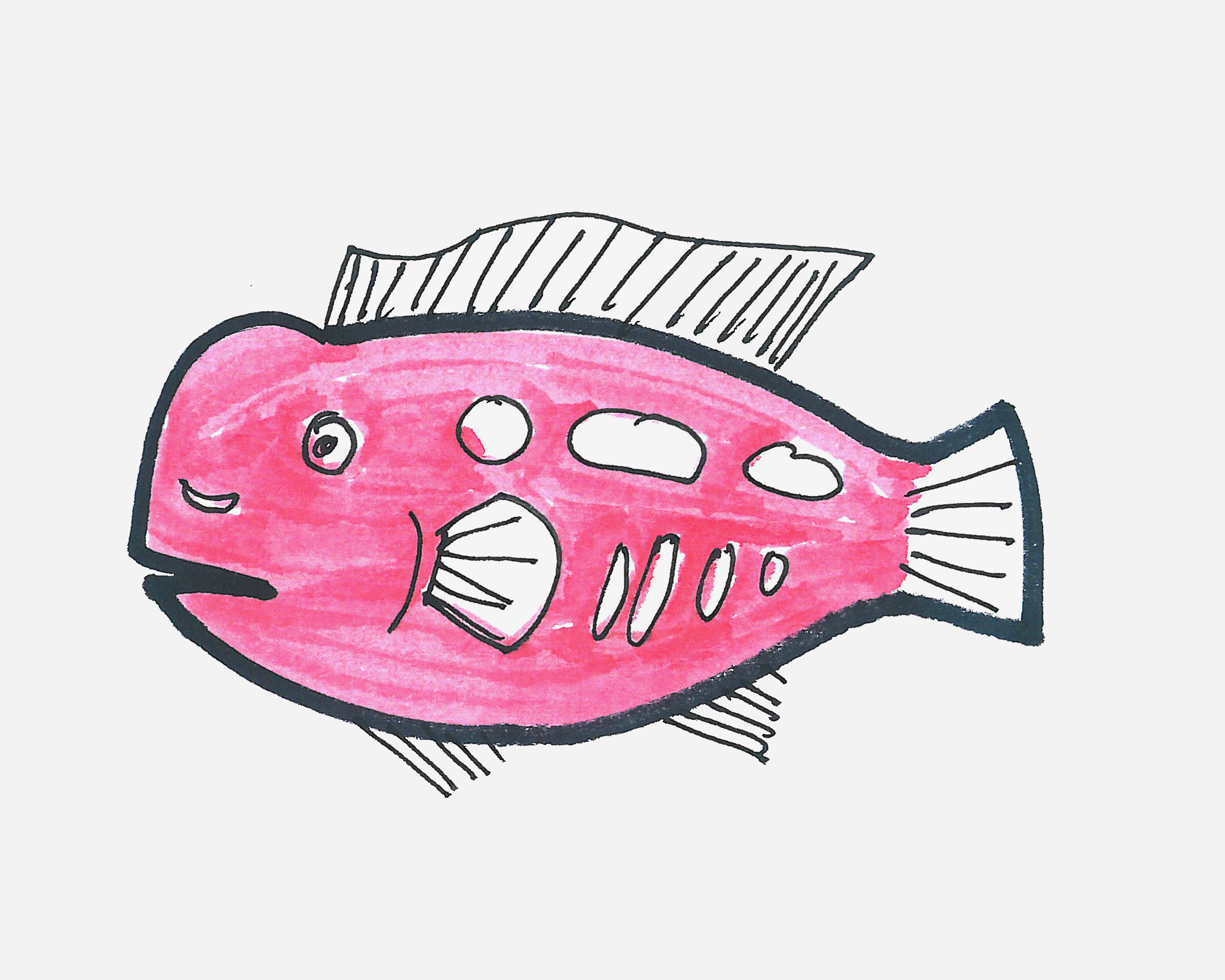 可爱的胖头鱼简笔画画法图片步骤