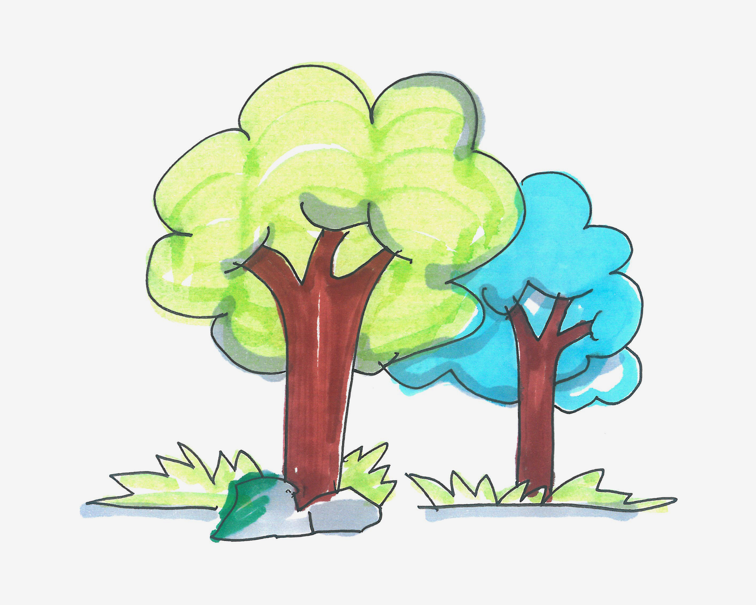 可爱简笔画图片 色彩大树怎么画
