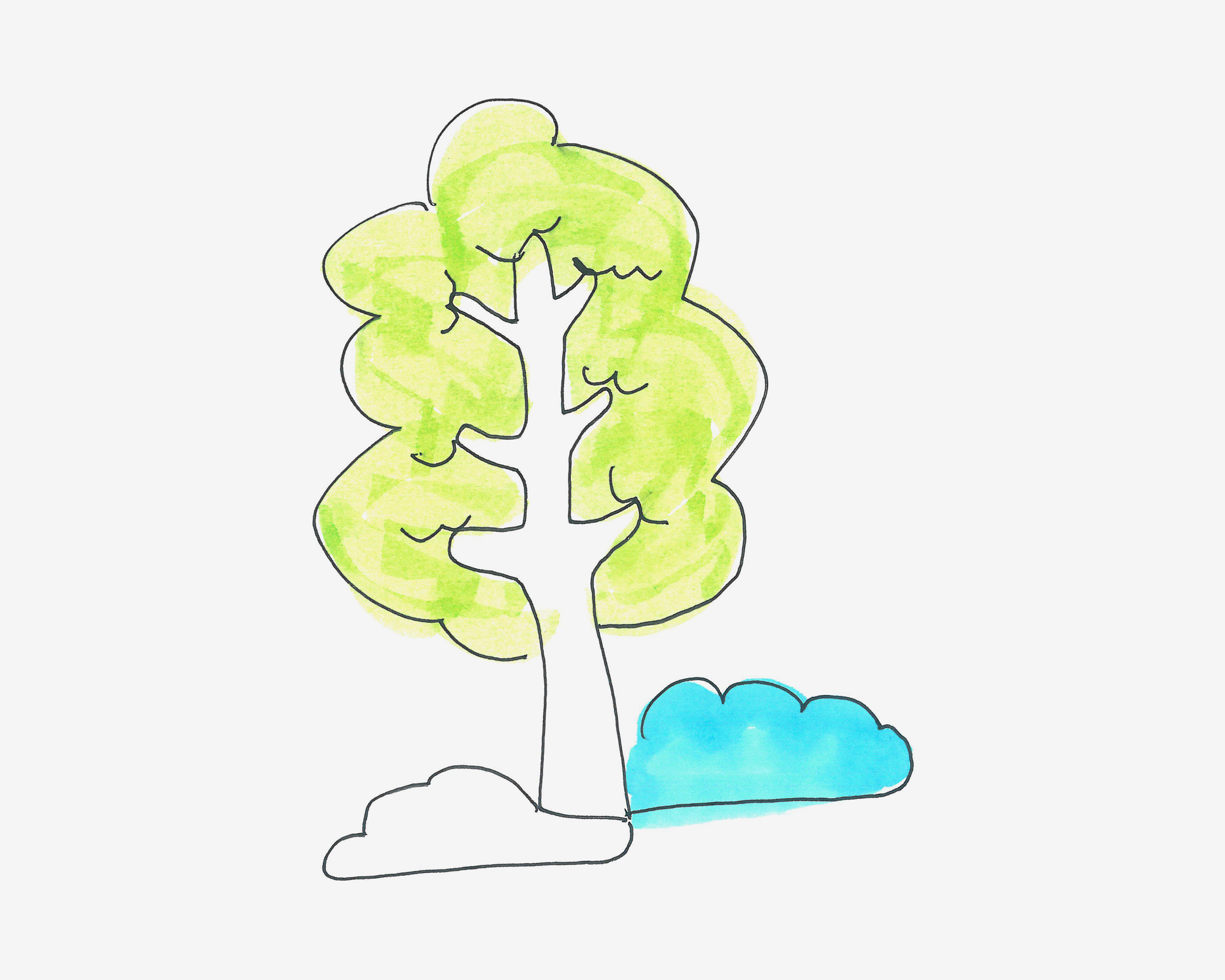 幼儿简笔画作品 色彩大树怎么画