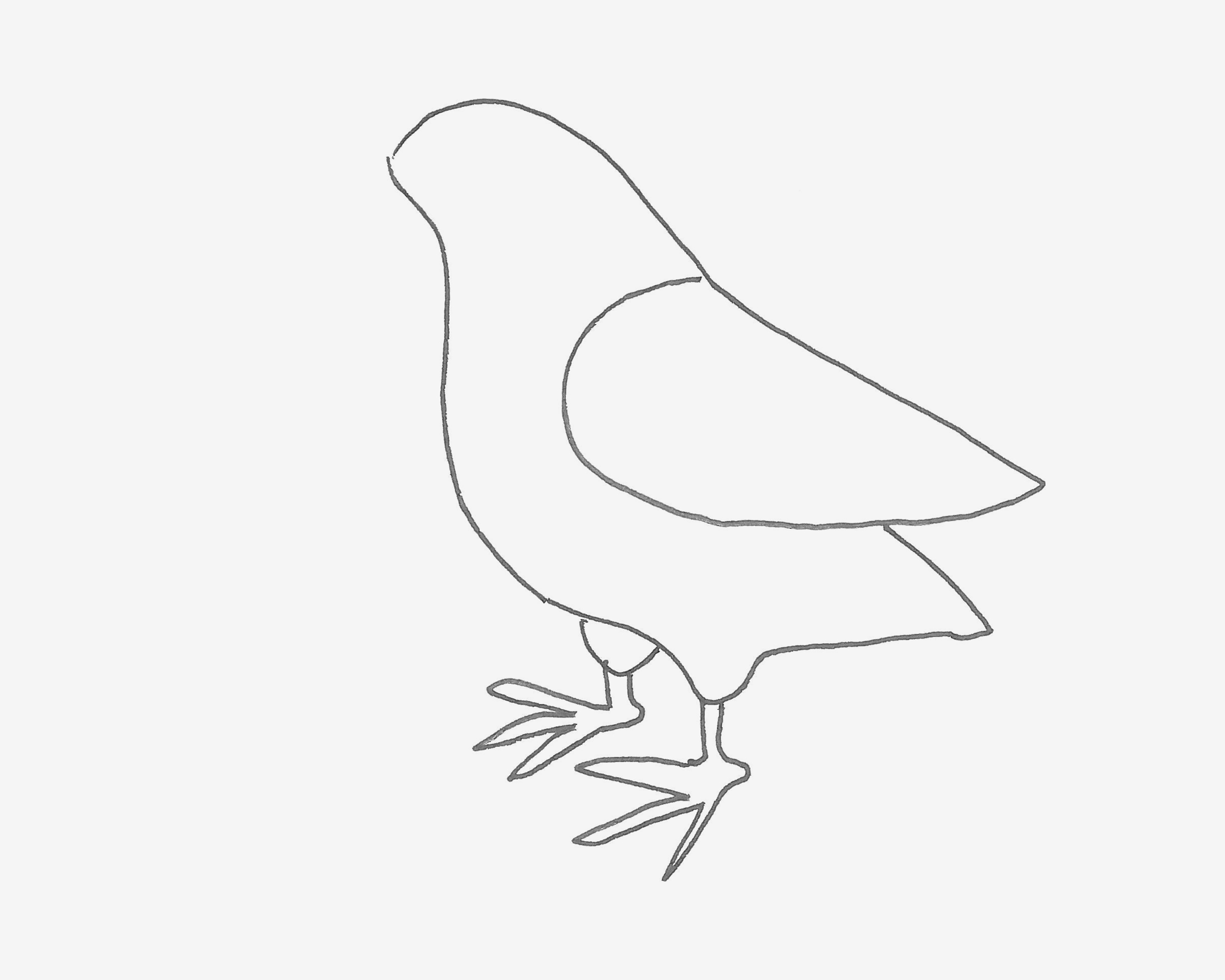 各种形态鸽子简笔画画法图片步骤（秋天的景色简笔画大全） - 有点网 - 好手艺