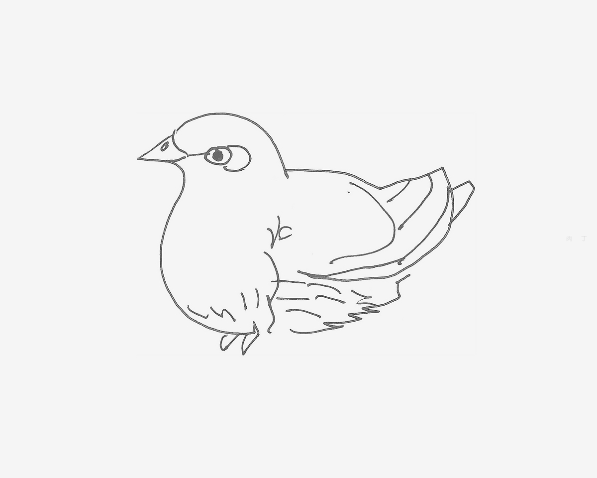 鸽子-颜色 - 优动漫-动漫创作支援平台 | 优动漫PAINT绘画软件