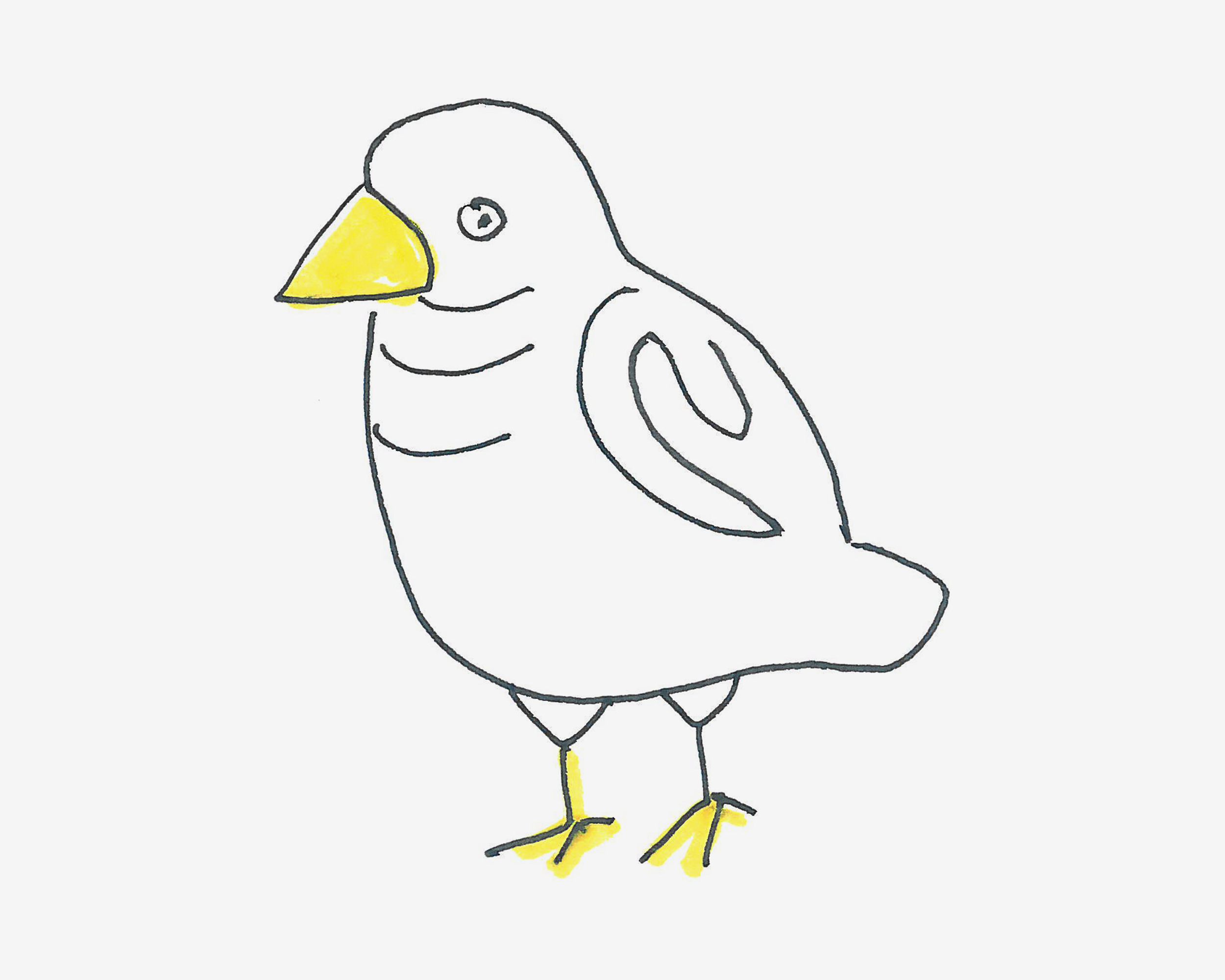 最简单儿童画启蒙教程 带颜色鸽子怎么画简单又好看