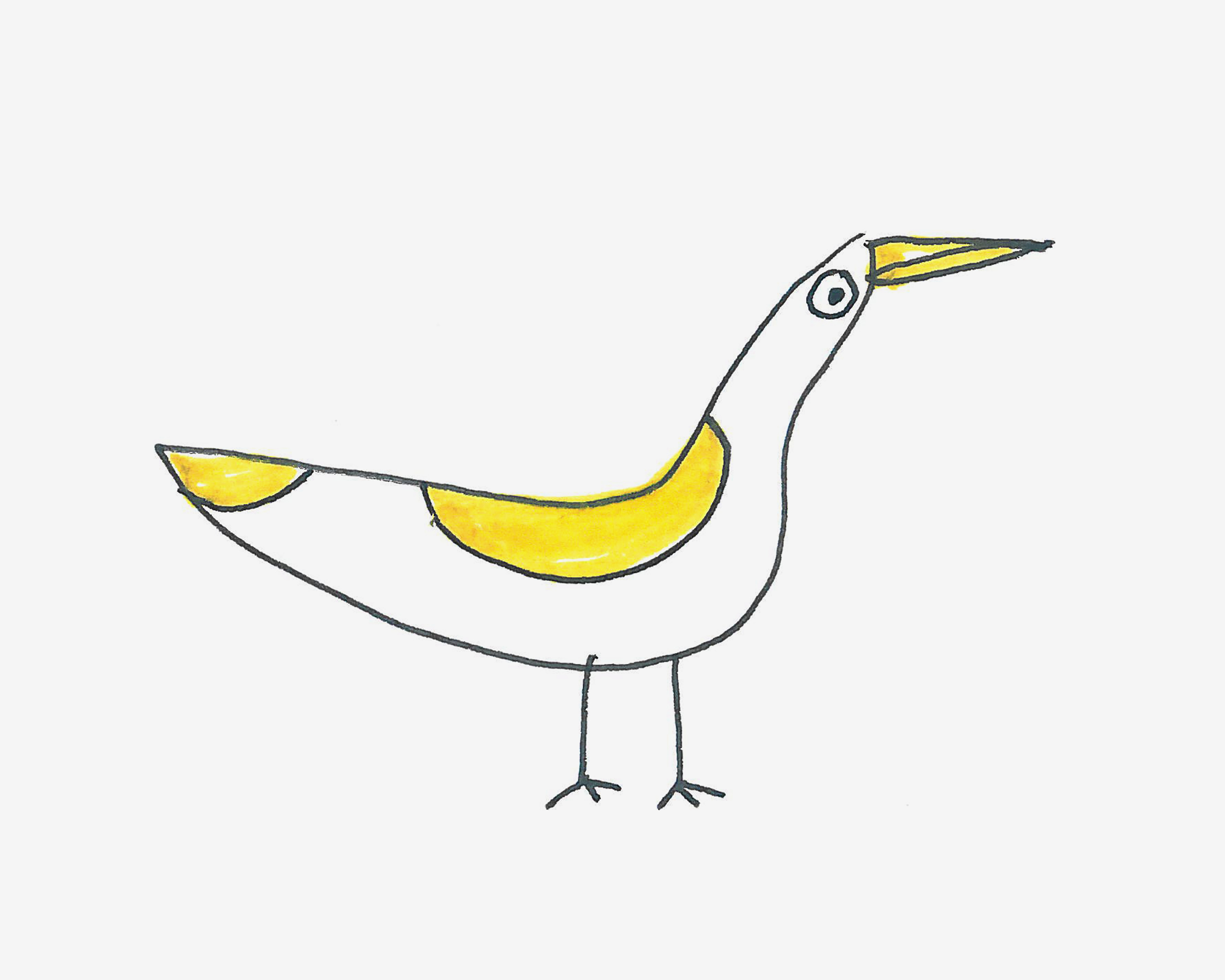 5-8岁简笔画大全 色彩小海鸟的画法教程