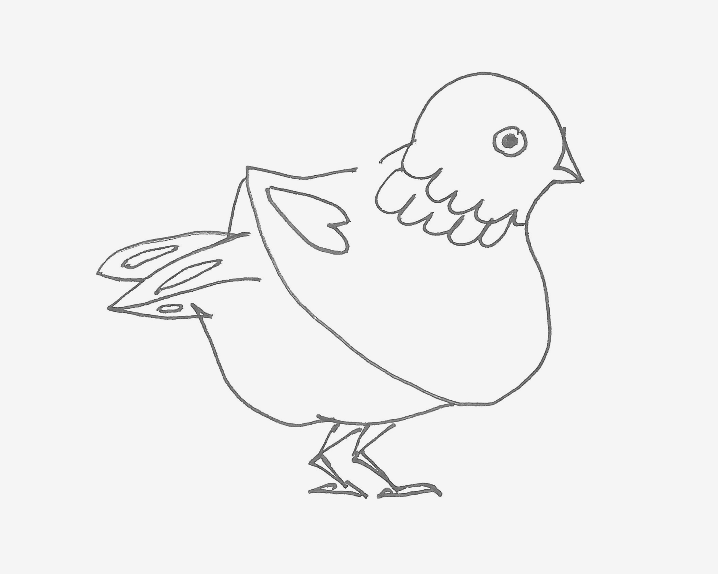 5-8岁儿童画教程 小鸽子怎么画
