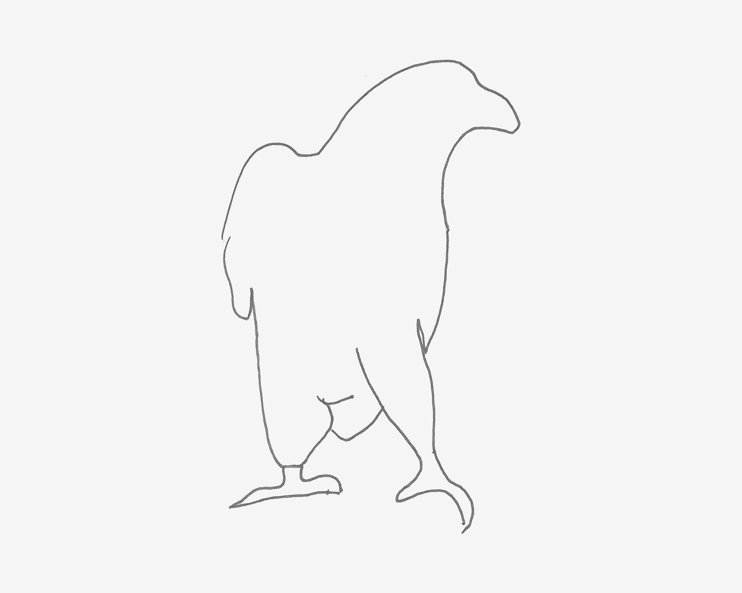 7岁儿童画教程 鸽子怎么画好看