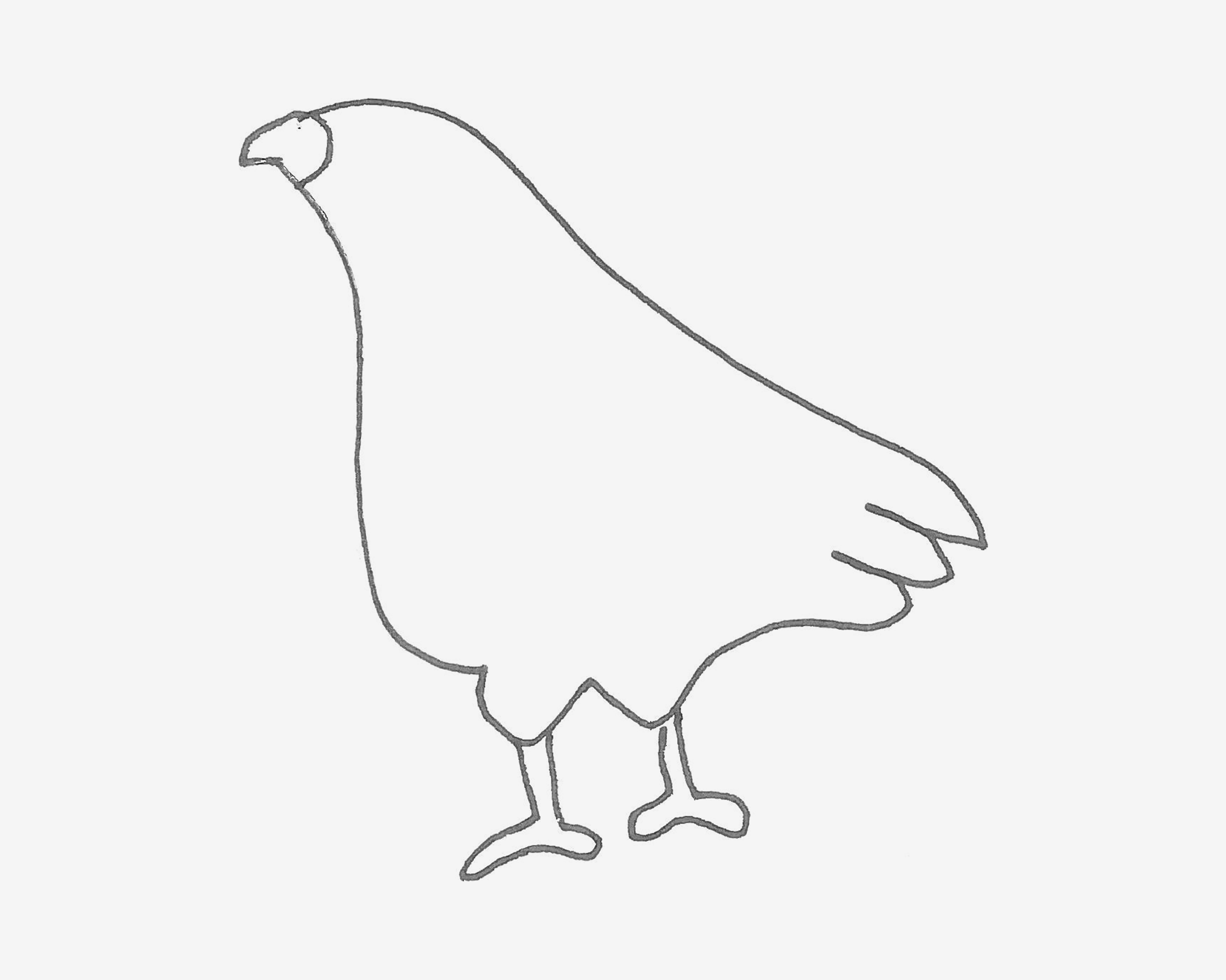 3-6岁简笔画教程 鸽子的画法教程