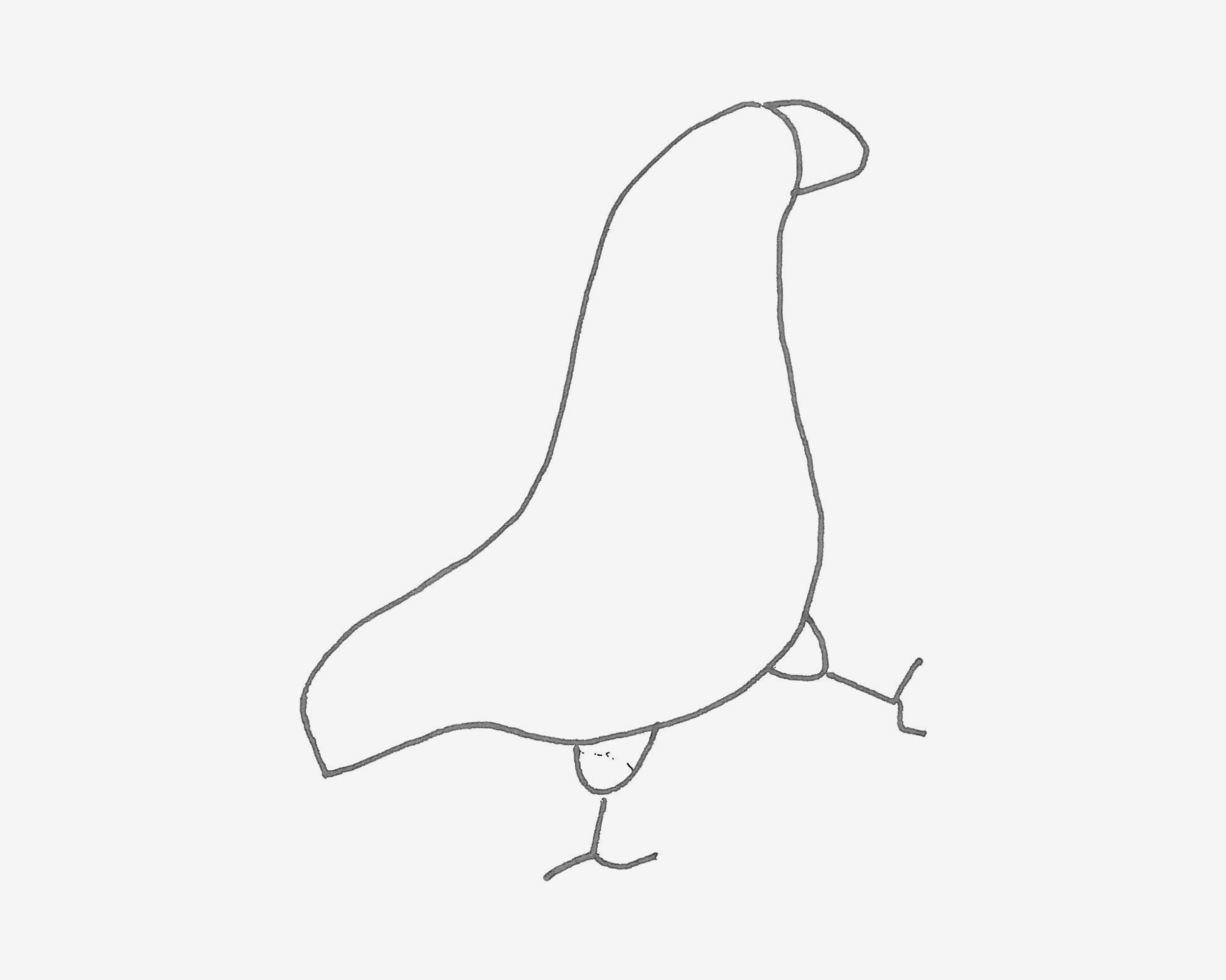 3-6岁儿童画启蒙教程 带颜色鸽子怎么画简单又好看