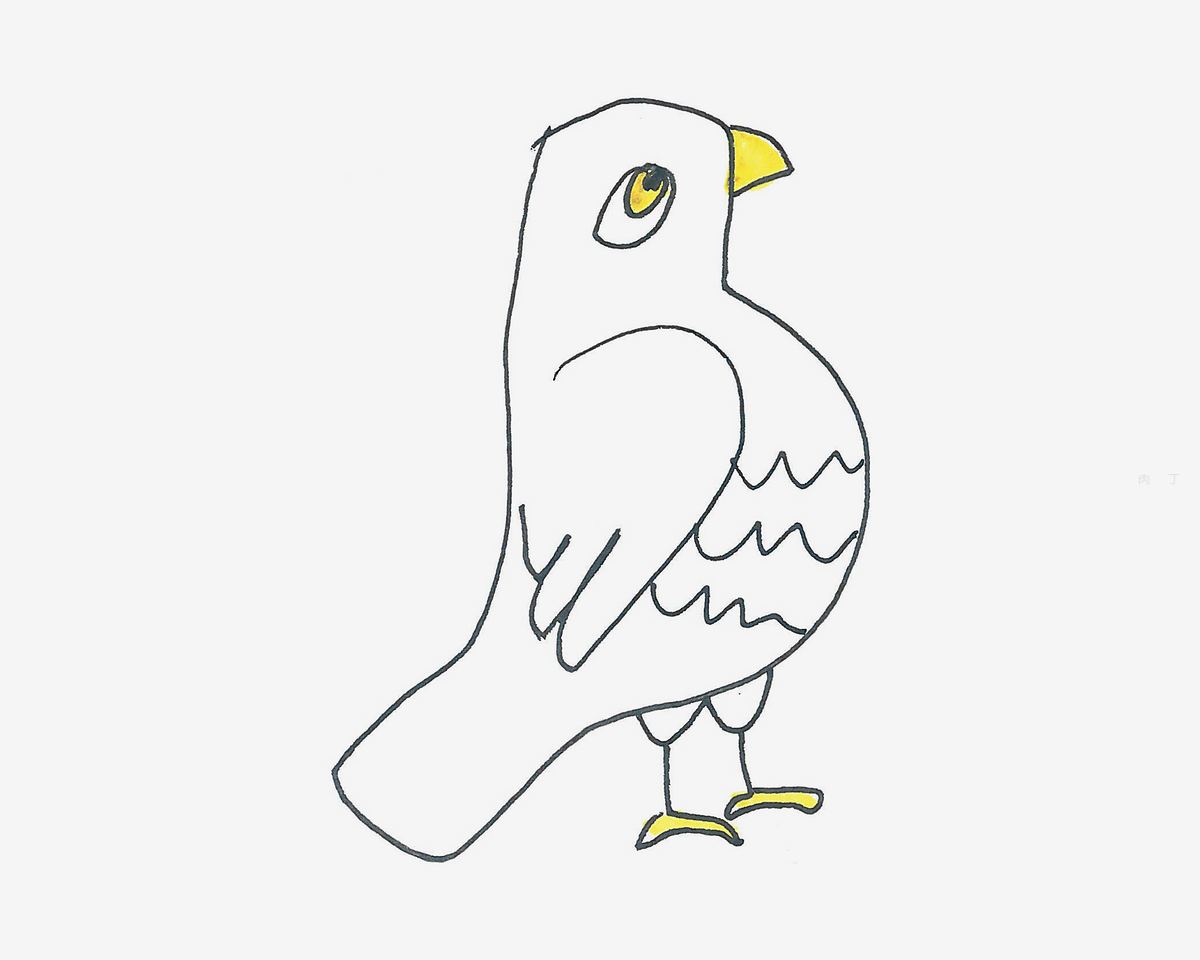 最漂亮儿童简笔画教程 小鸽子的画法💛巧艺网