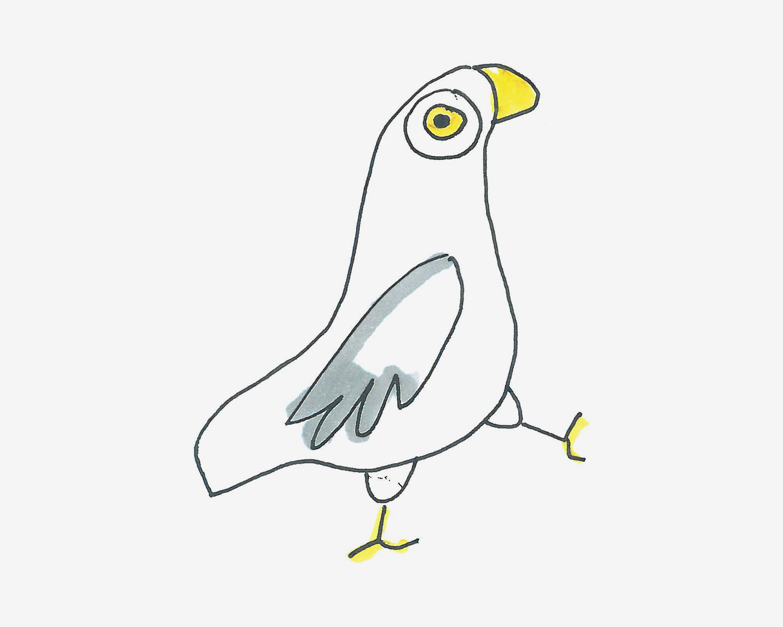 3-6岁儿童画启蒙教程 带颜色鸽子怎么画简单又好看