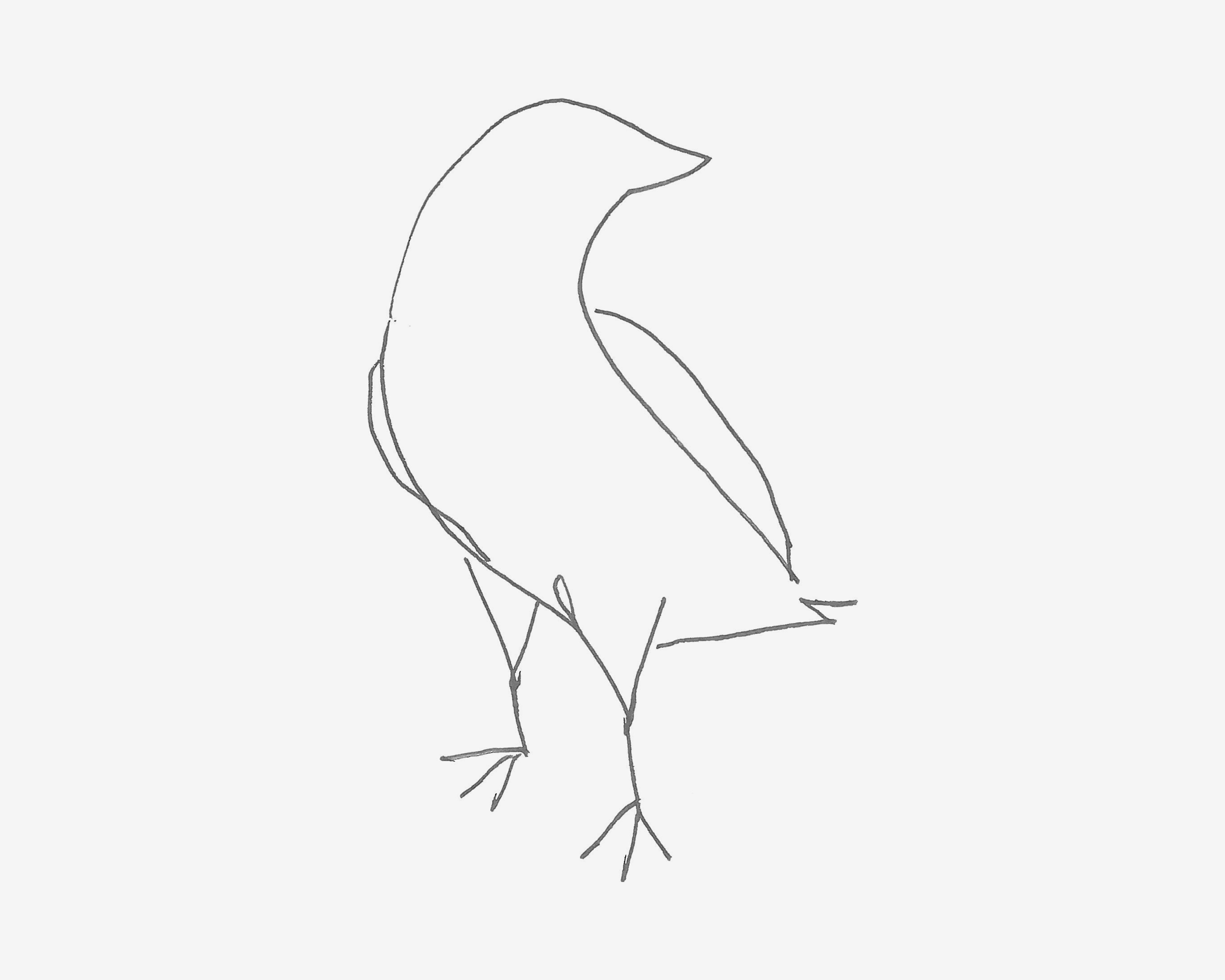 幼儿简笔画教程 小鸽子怎么画简单又好看
