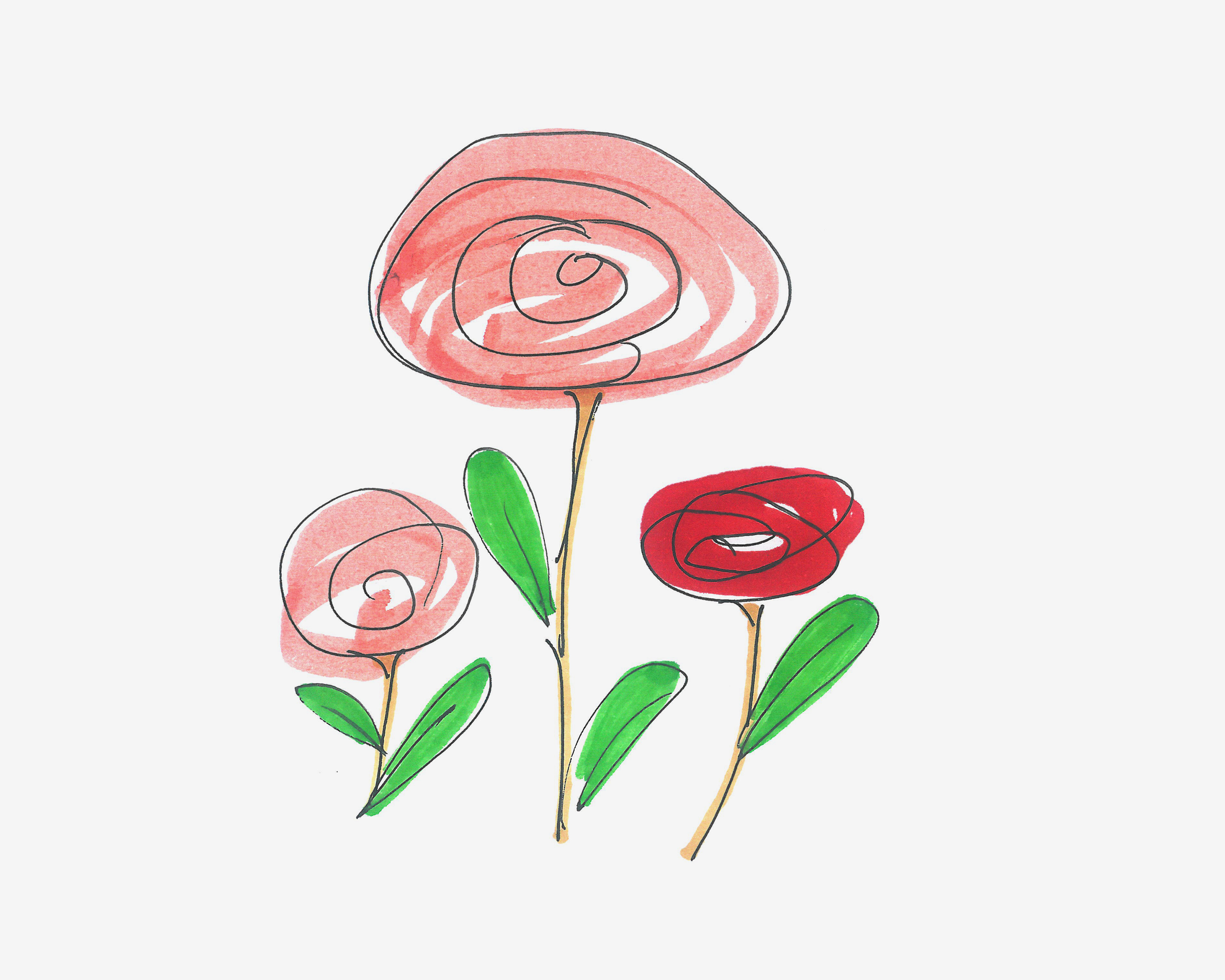 简笔画玫瑰花的画法图片步骤 肉丁儿童网