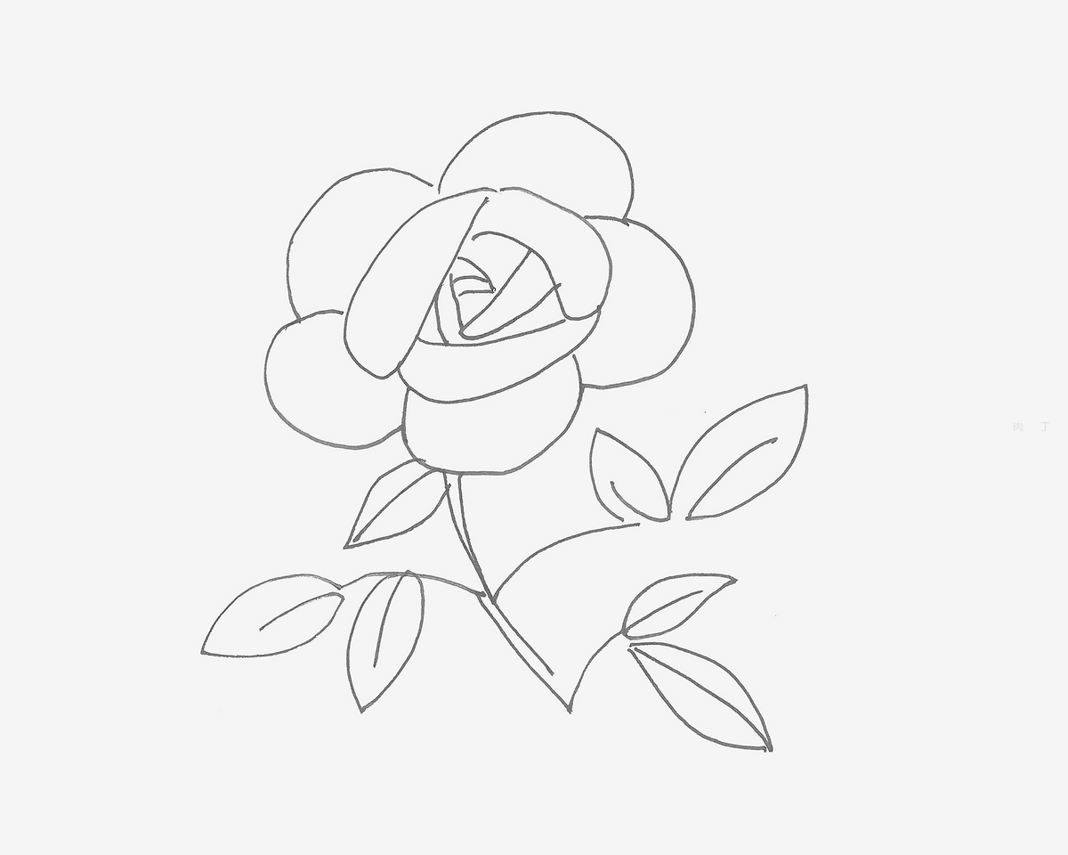 简单玫瑰花简笔画画法图片步骤（食物 简笔画） - 有点网 - 好手艺