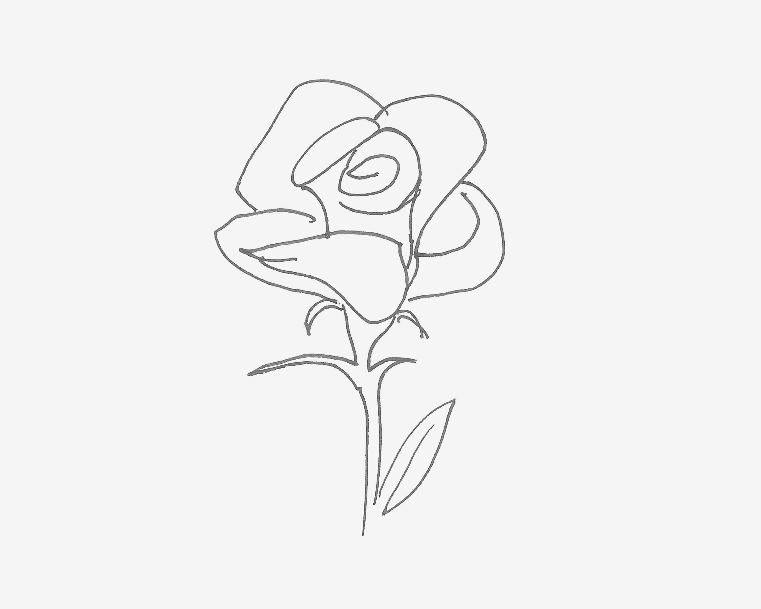 数字9简笔画玫瑰花的画法图片步骤