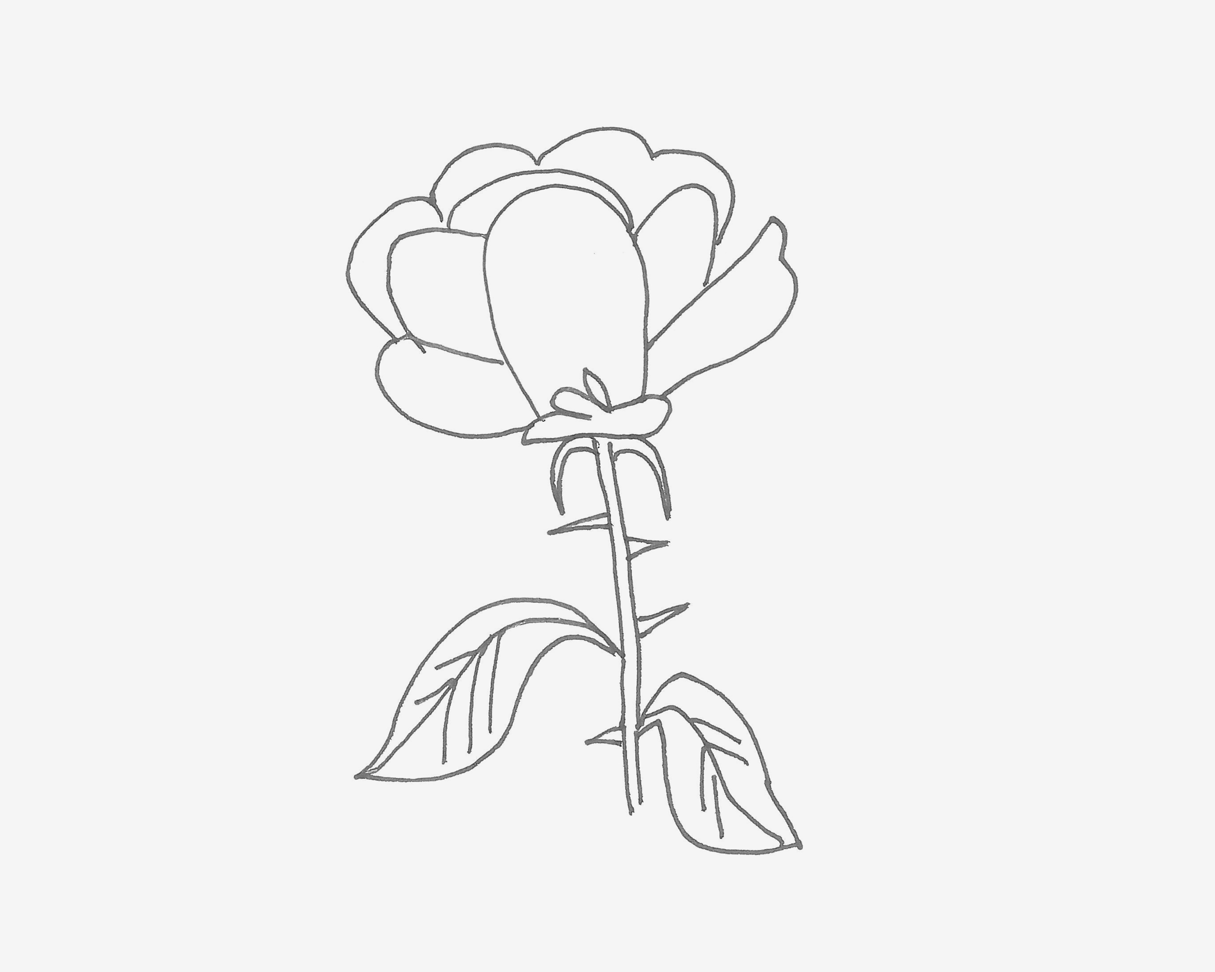 简单又可爱简笔画优秀作品 小花朵怎么画最简单