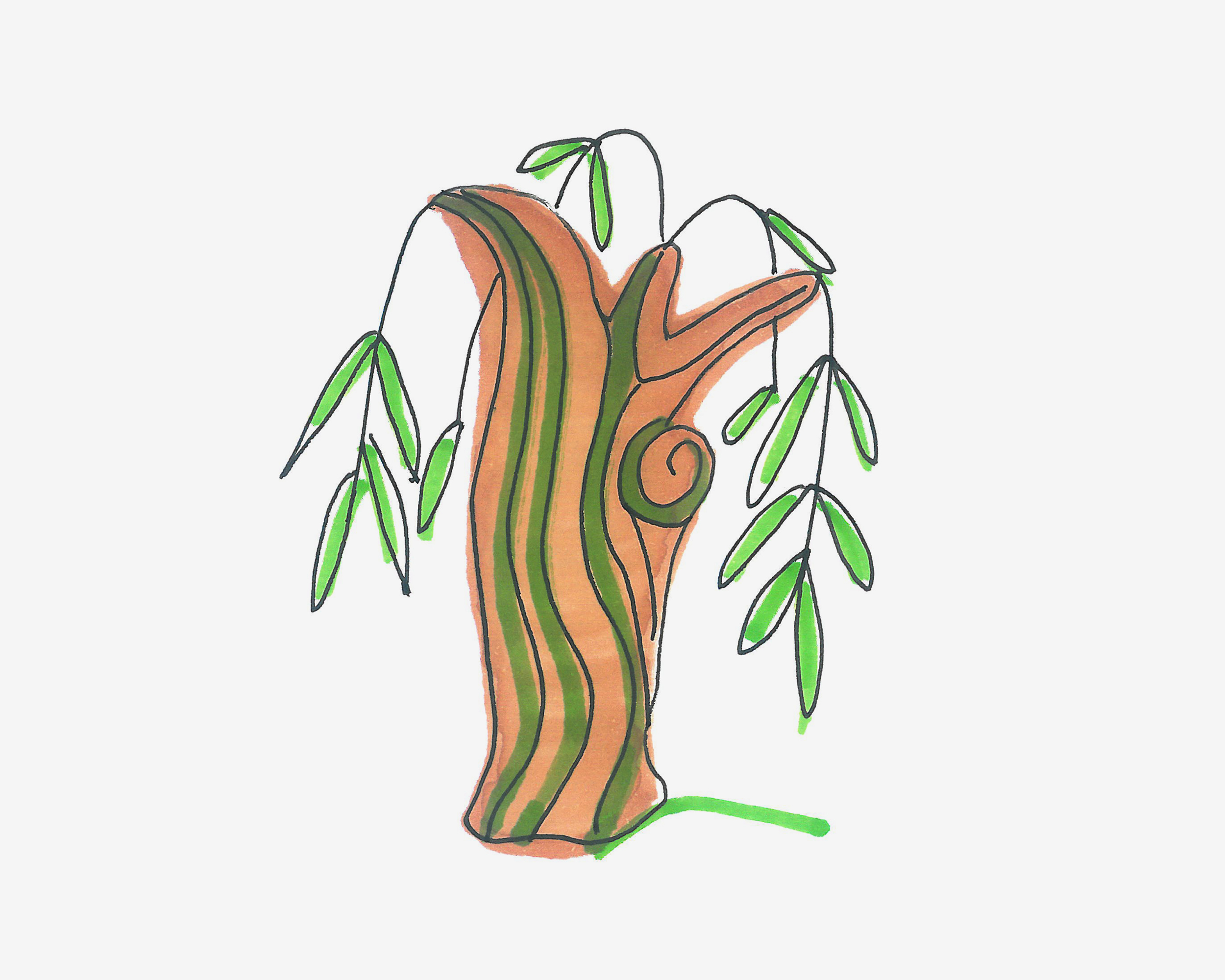 3-6岁简笔画教程 卡通小柳树的画法图解