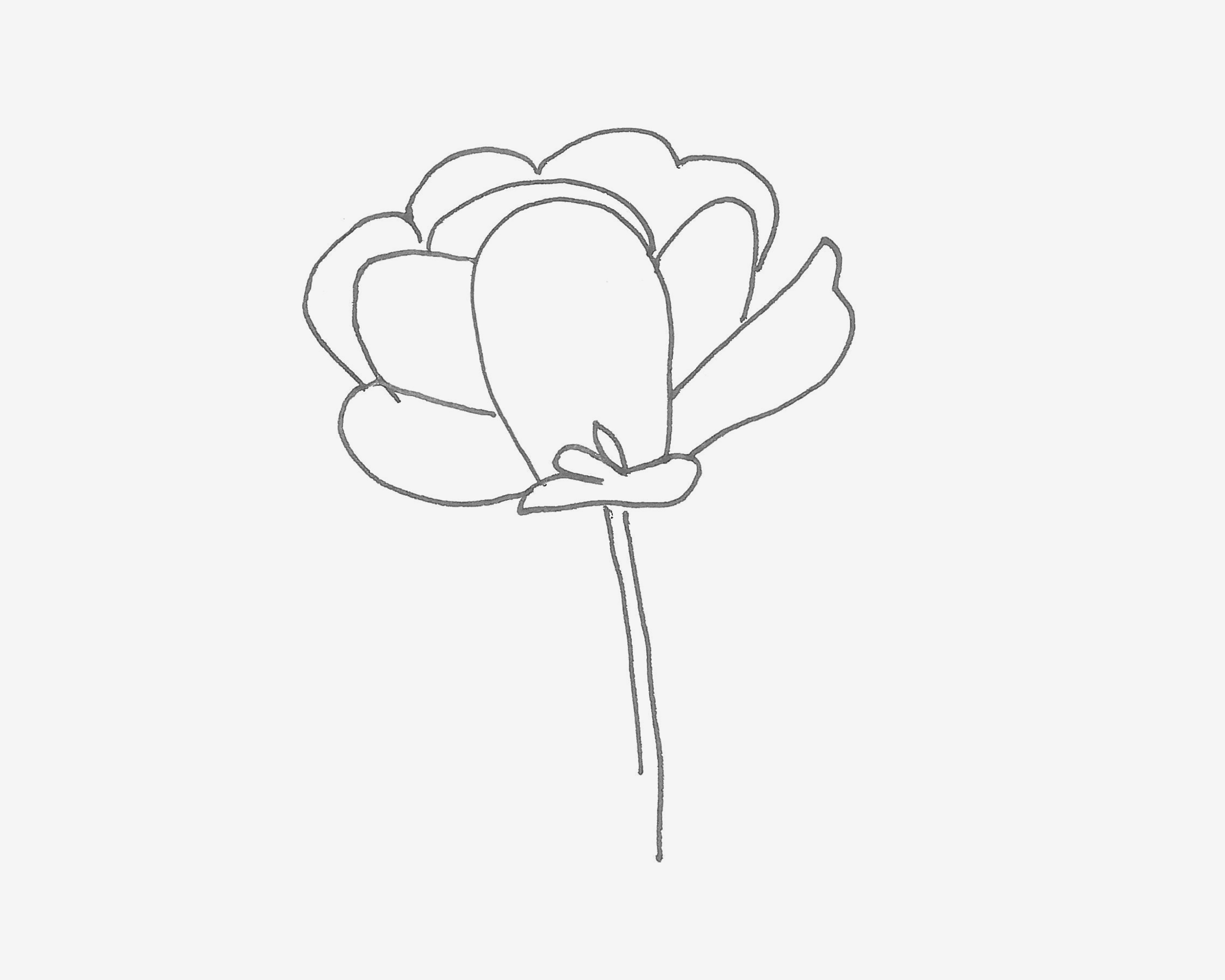 简单又可爱简笔画优秀作品 小花朵怎么画最简单