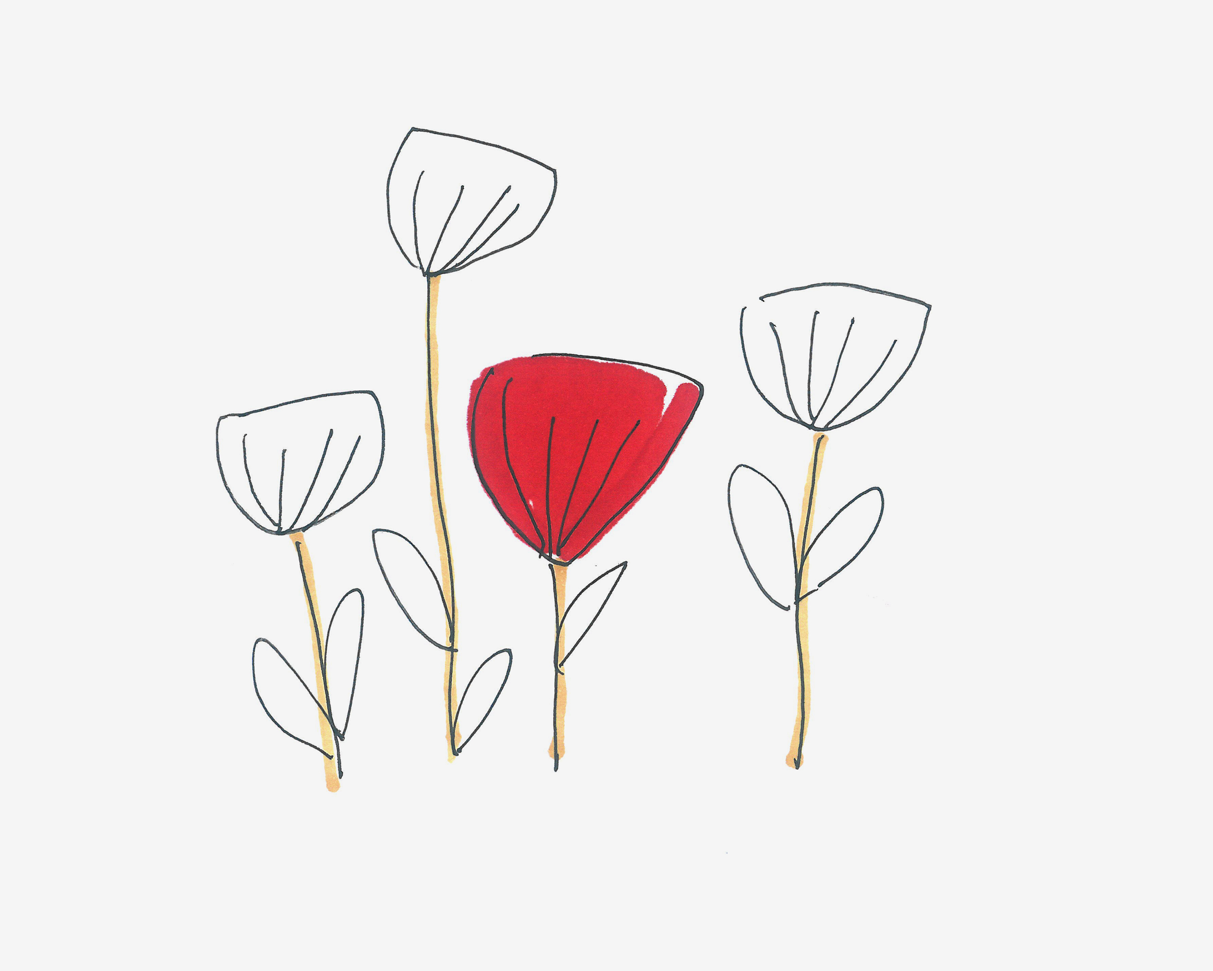 4-5岁简笔画作品 带颜色罂粟花的画法图解教程