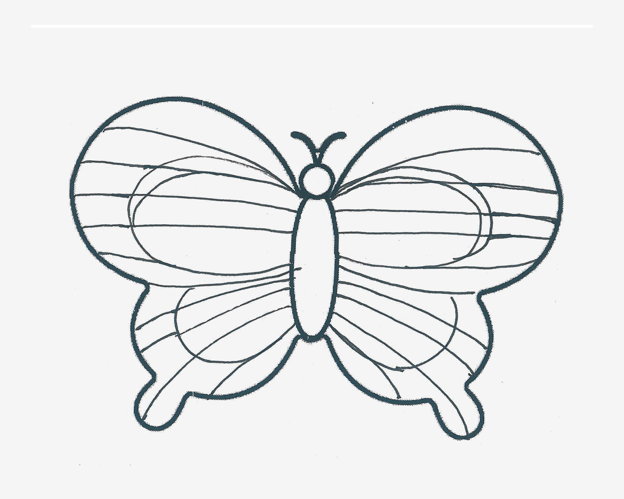 幼儿儿童画教程 蝴蝶的画法教程