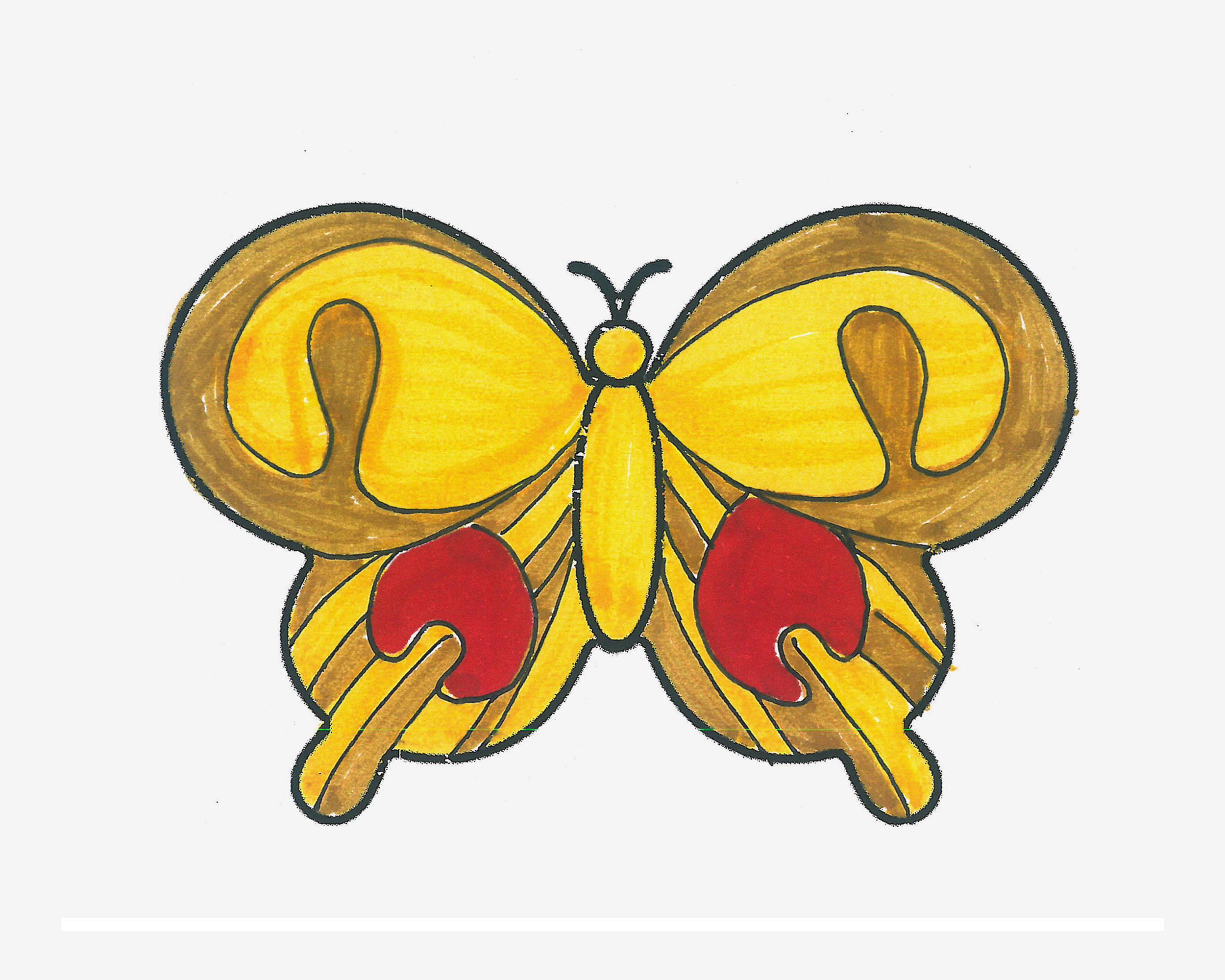简单简笔画教程 带颜色蝴蝶的画法