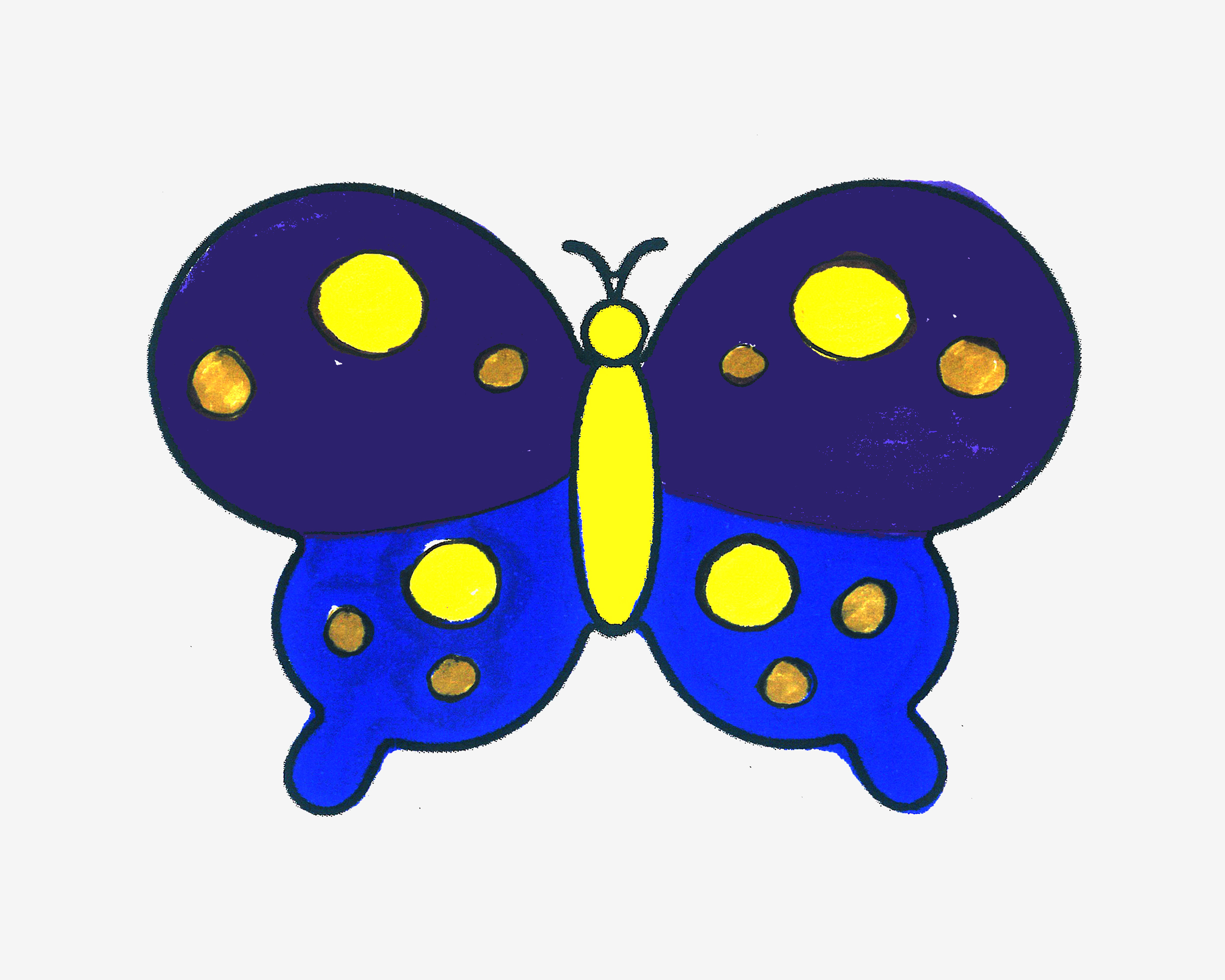 可爱简笔画优秀作品 带颜色蝴蝶的画法图解教程