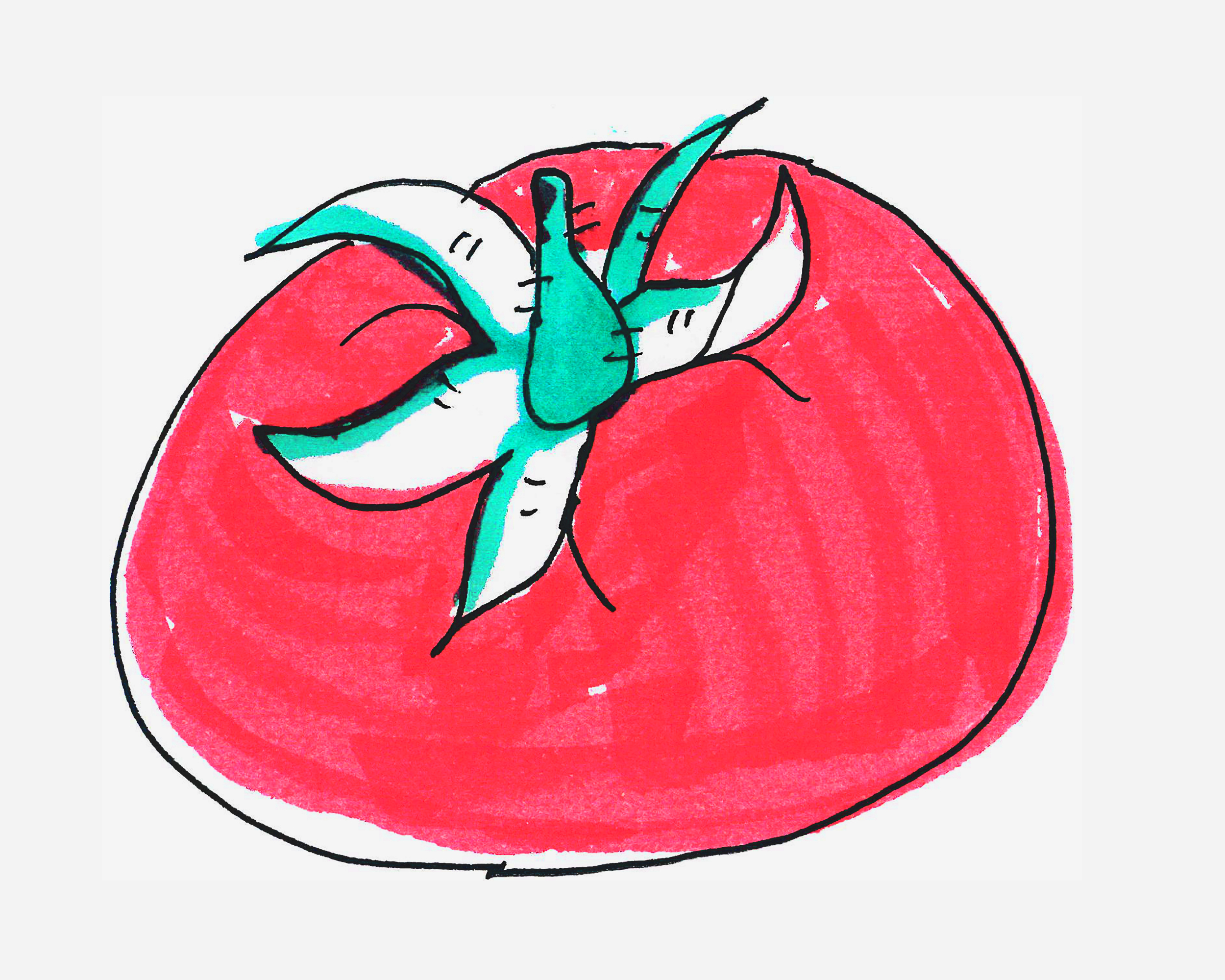 4-6岁简笔画作品 色彩西红柿怎么画好看